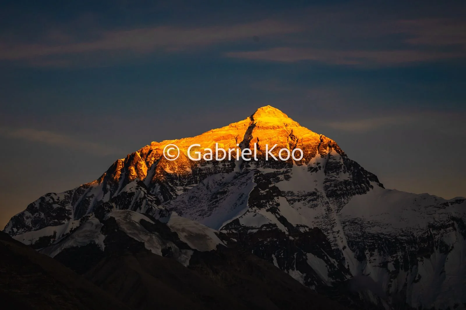 WhatsApp Image 2026-02-19 at 16.16.33 (1).jpg