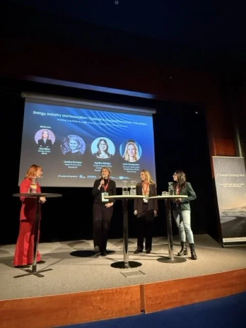 Energy, Industry and Innovation: Can Europe Compete in the Green Transition?