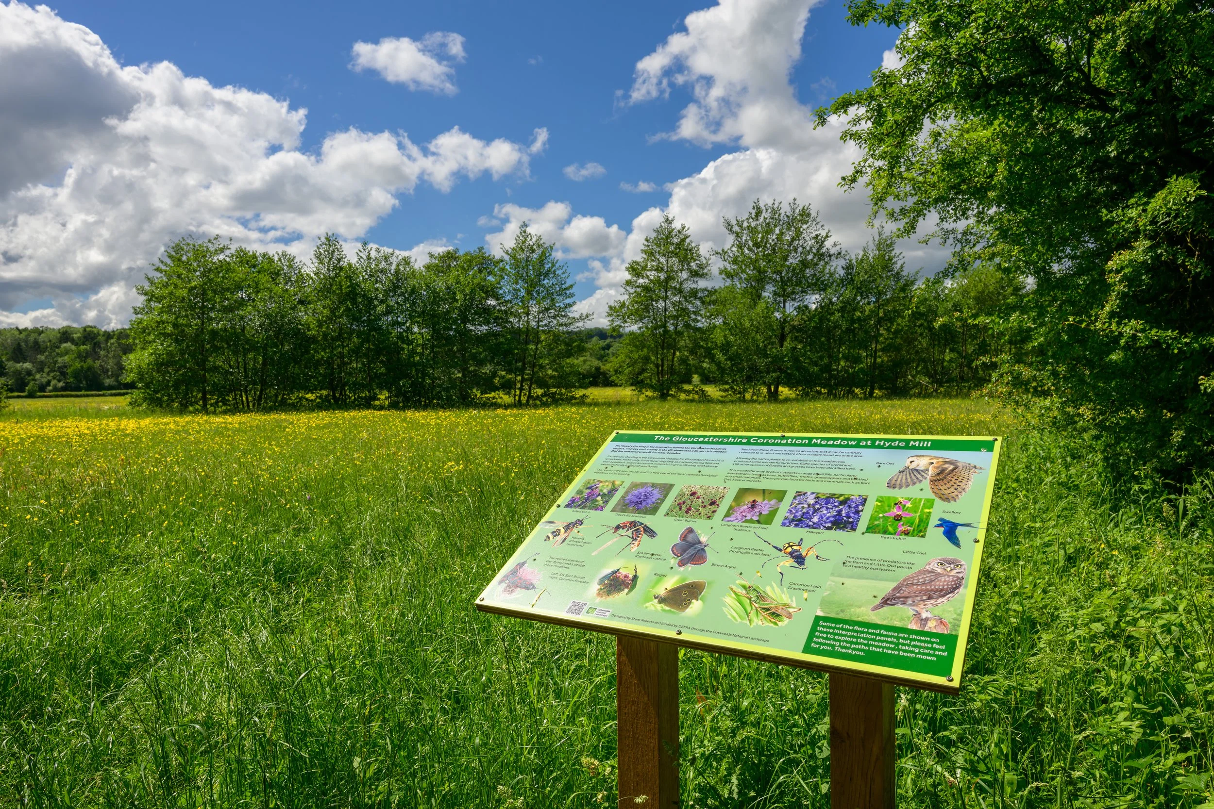 Hyde Mill-23.jpg