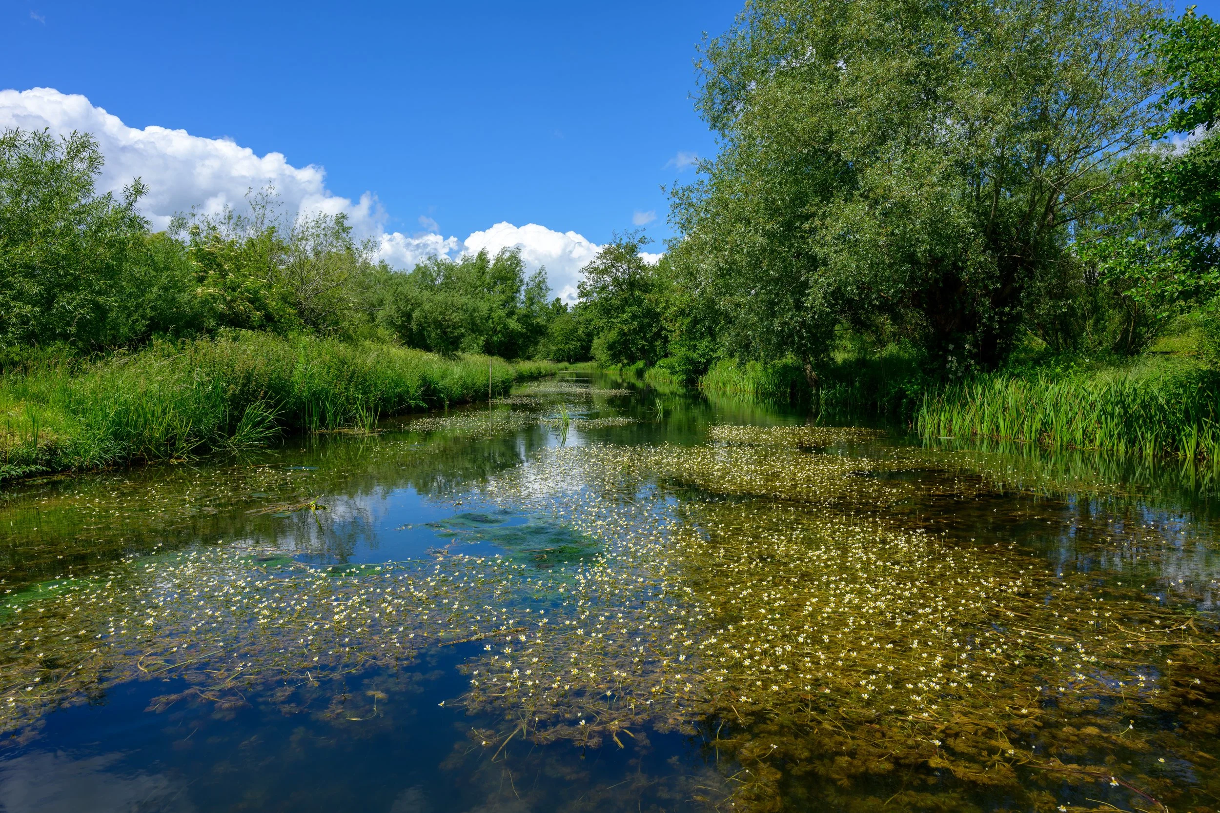 Hyde Mill-24.jpg