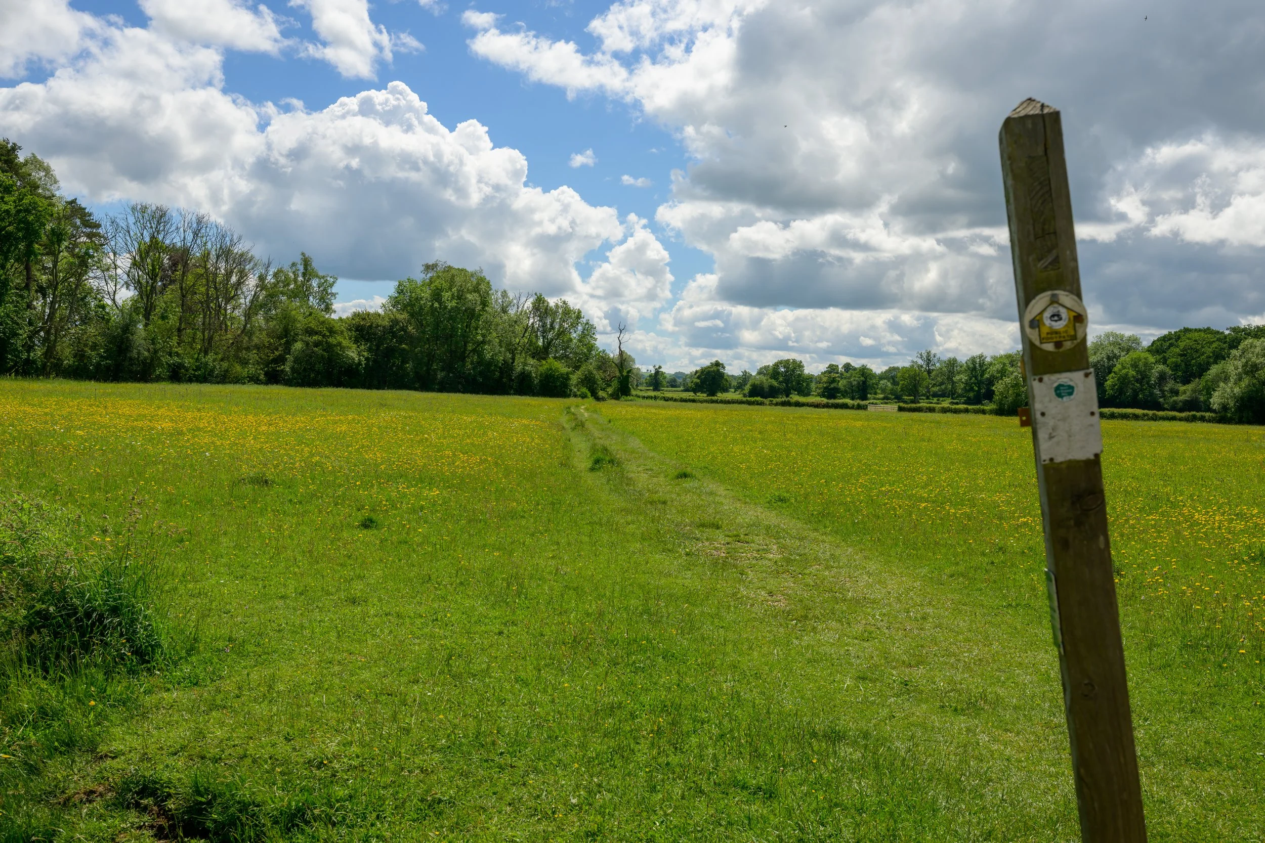 Hyde Mill-18.jpg