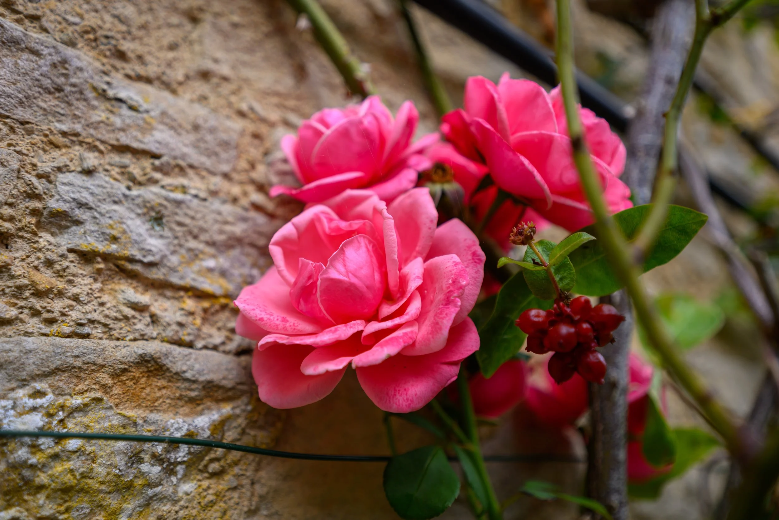 LowerSwell-33.jpg