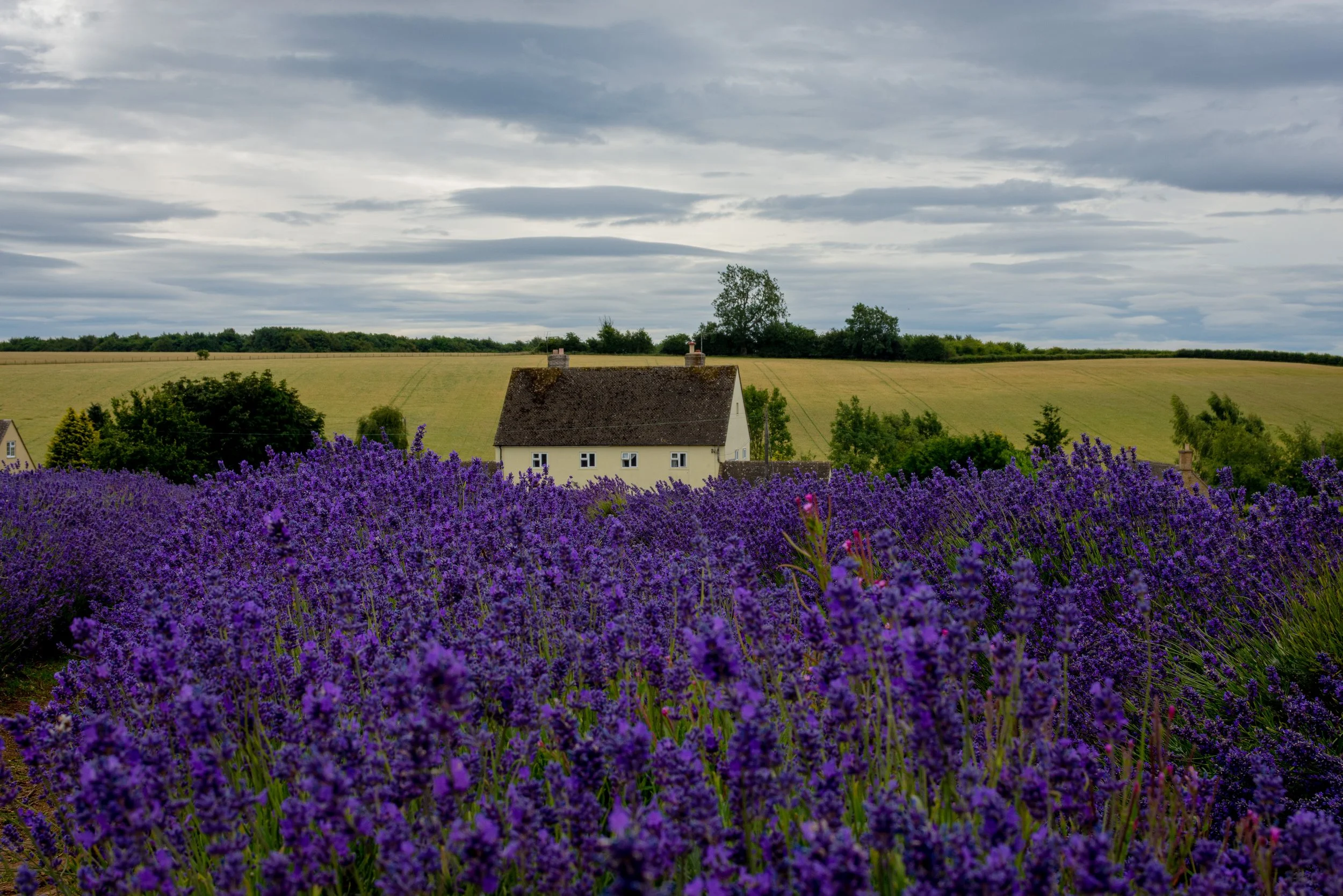 The Cotswolds-24.jpg