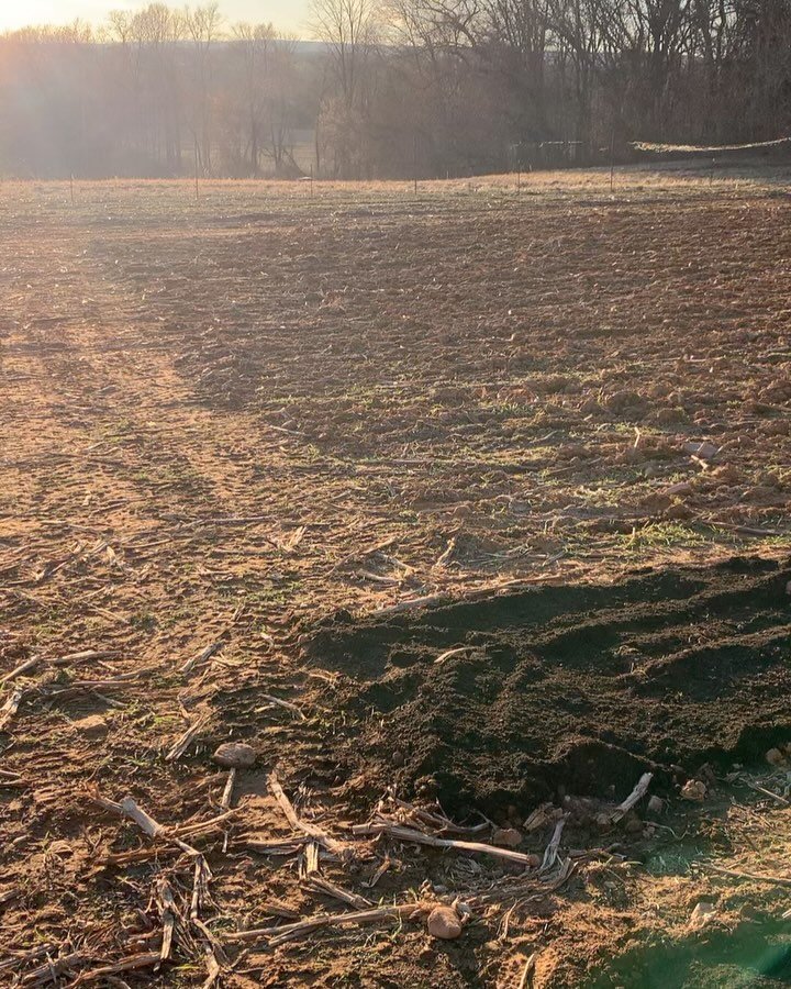 Farm transformation 💅 this past month has been one thing to the next:
Fencing, cultivation, laying irrigation, compost, broadfork, transplanting, and finally&hellip; THE WATER IS HOOKED UP! (It was a long time coming and a big win!)
And in the mix o