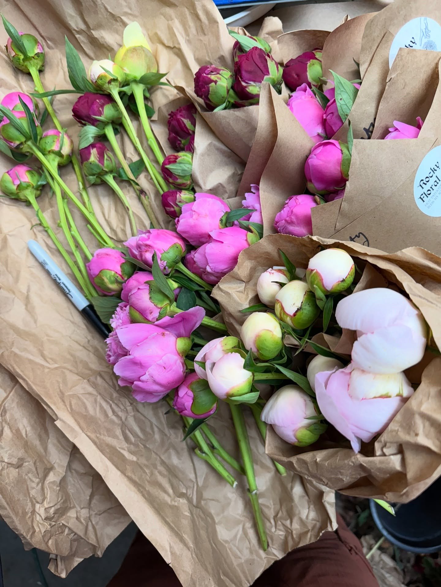 Ready or not, peony season 🌸
For about two weeks, I&rsquo;m in twice a day harvest mode (☔️ or 🌞) to catch as many peonies as possible in the perfect stage for storing. Of course, some slip past and end up blooming in the field or snipped for my ow