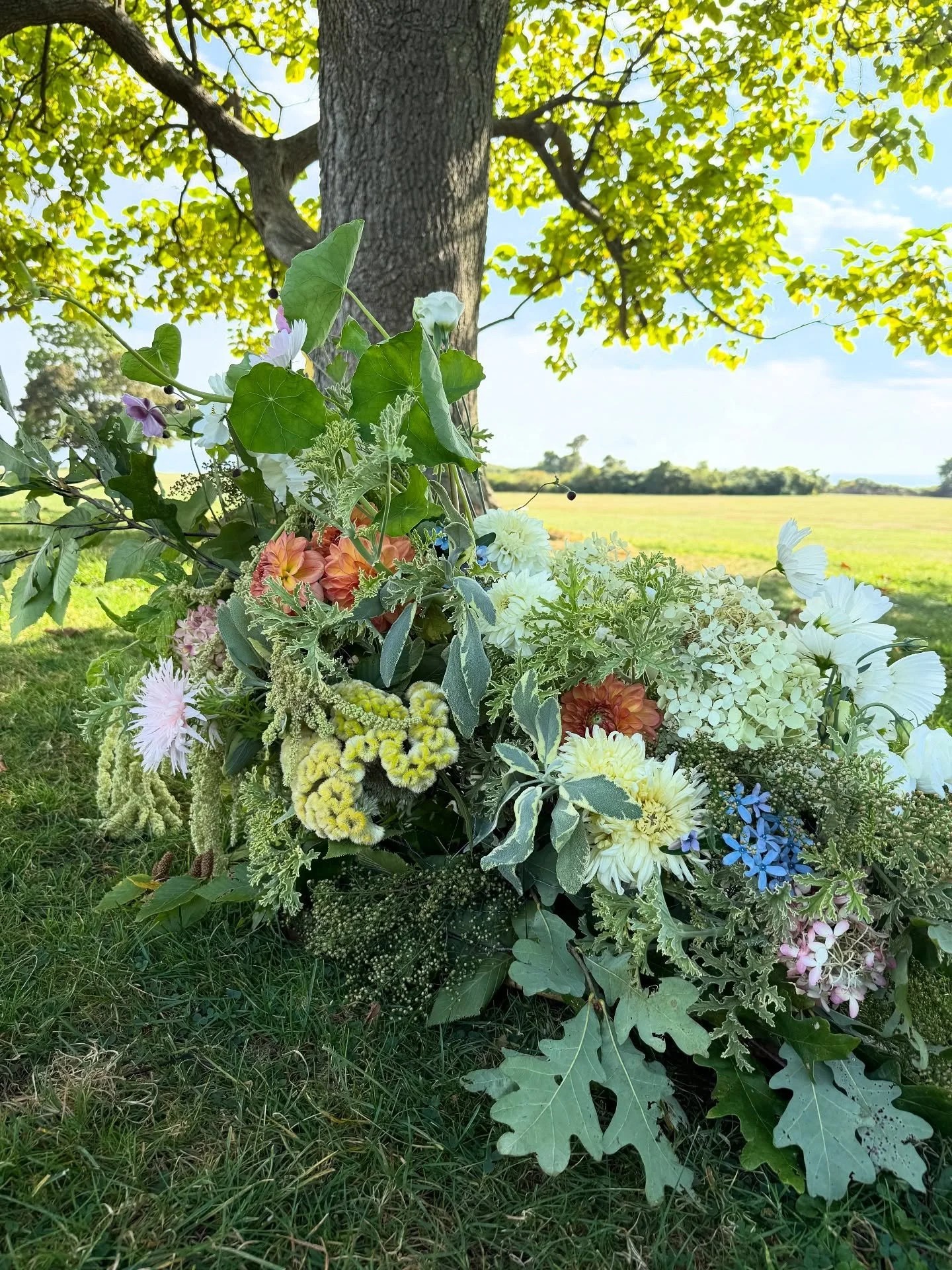 The greenery, the gorgeous venue, the modern design &amp; styling; this wedding had it all 💕
So much to say, but for now here&rsquo;s a couple quick captures from the perfect day🥰
.
.
.
.
Planning &amp; Design: @elleweddingsandevents_ 
Venue: @hark