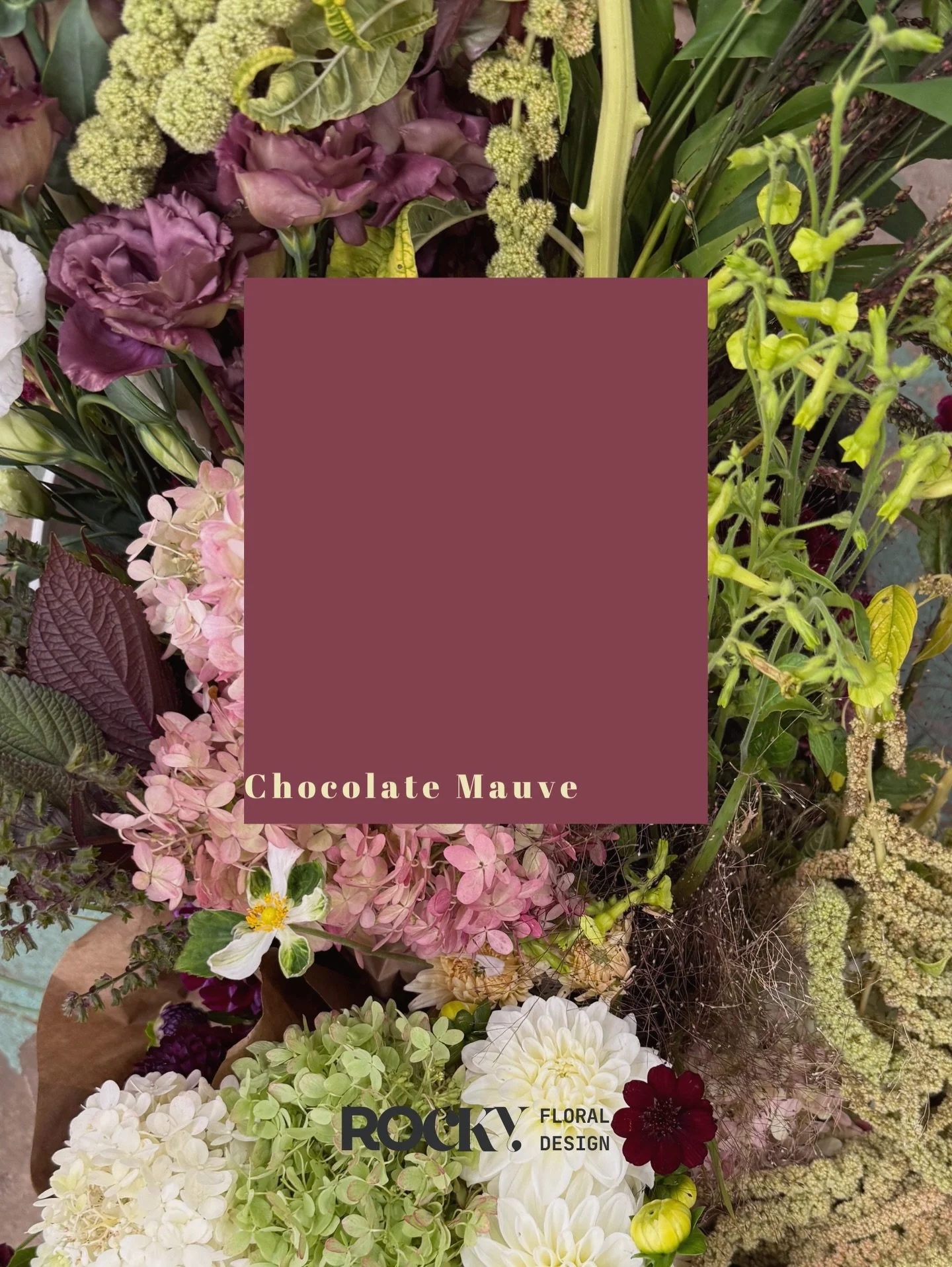 A certain &ldquo;color authority&rdquo; named the 2026 color of the year as&hellip;
White?
Seriously?
&hellip;IN THIS ECONOMY?
Look, white obviously has its place in the wedding world, but us creatives and designers (across industries!) always get ex