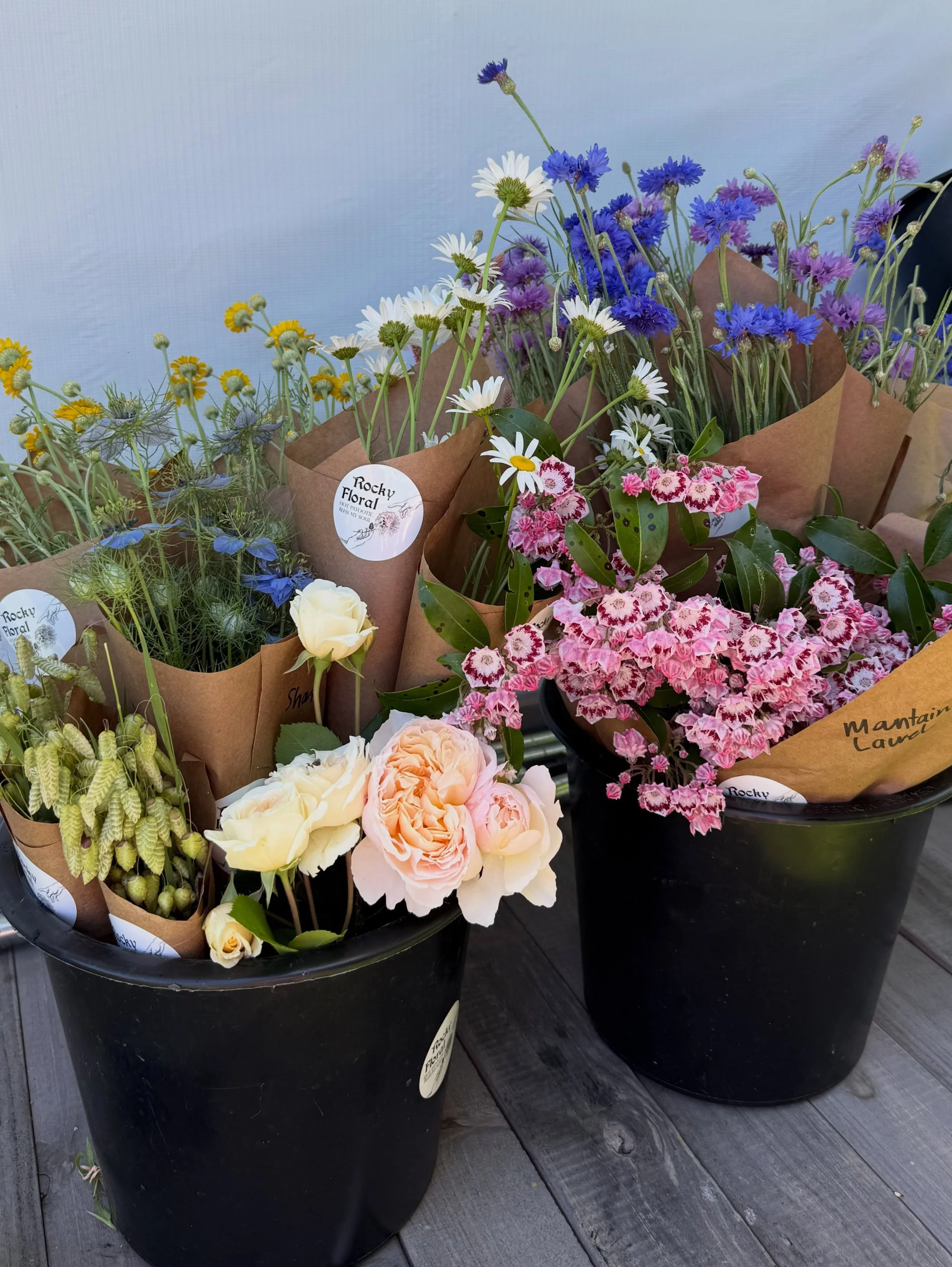 The flowers decided they were finally ready 💅🌻 they are DIVAS but I&rsquo;m here for it. 
Tbh they always remind me&hellip; when life is moving slow and fast all at once, literally stop and smell the flowers