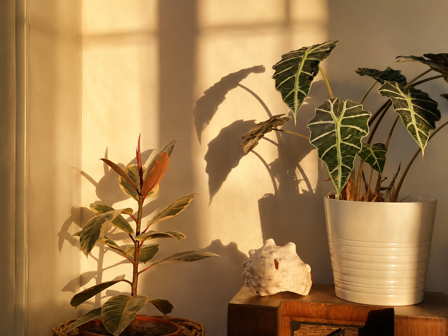 Faire appel à une décoratrice d'intérieur