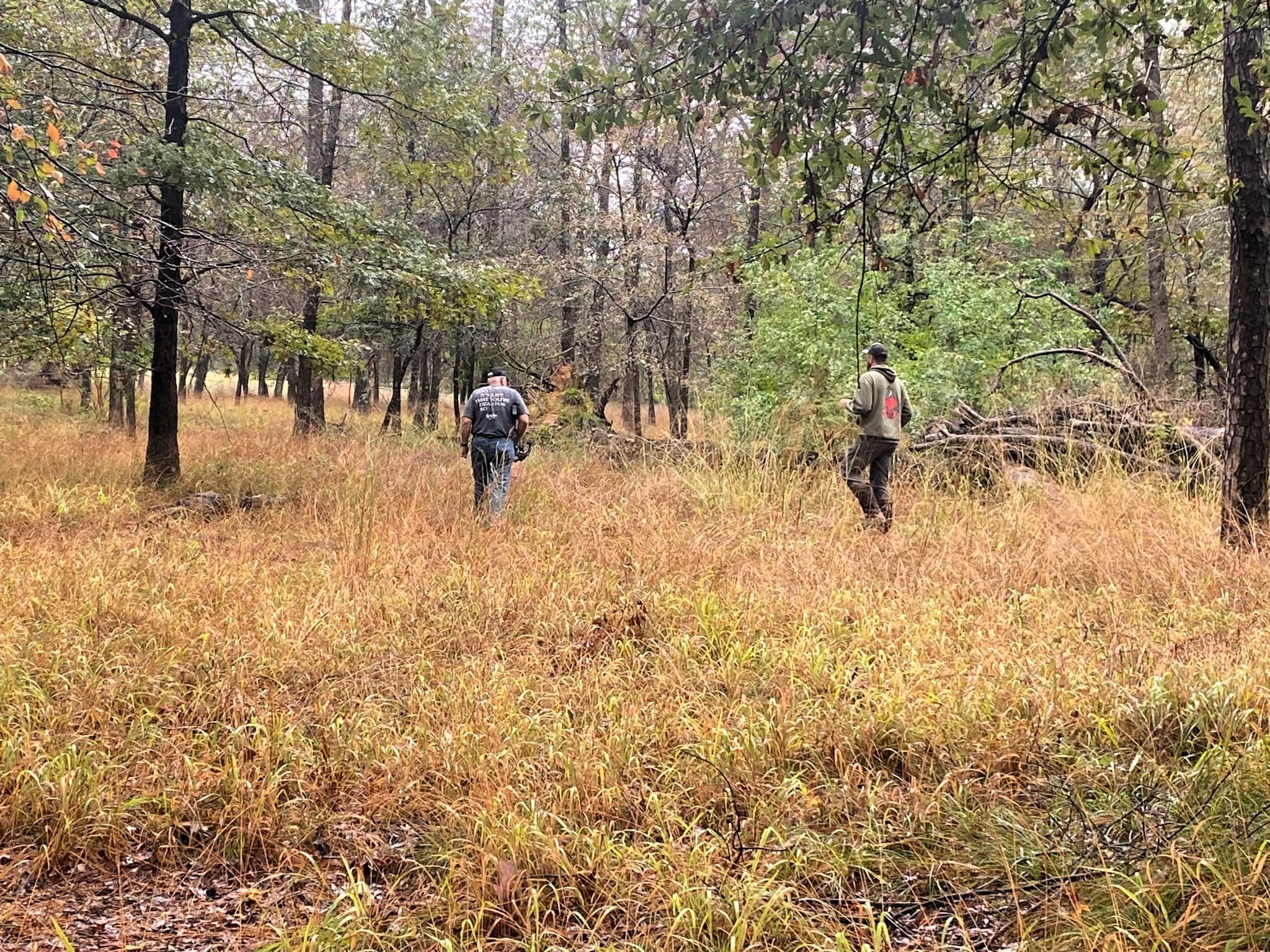 Nature Hike