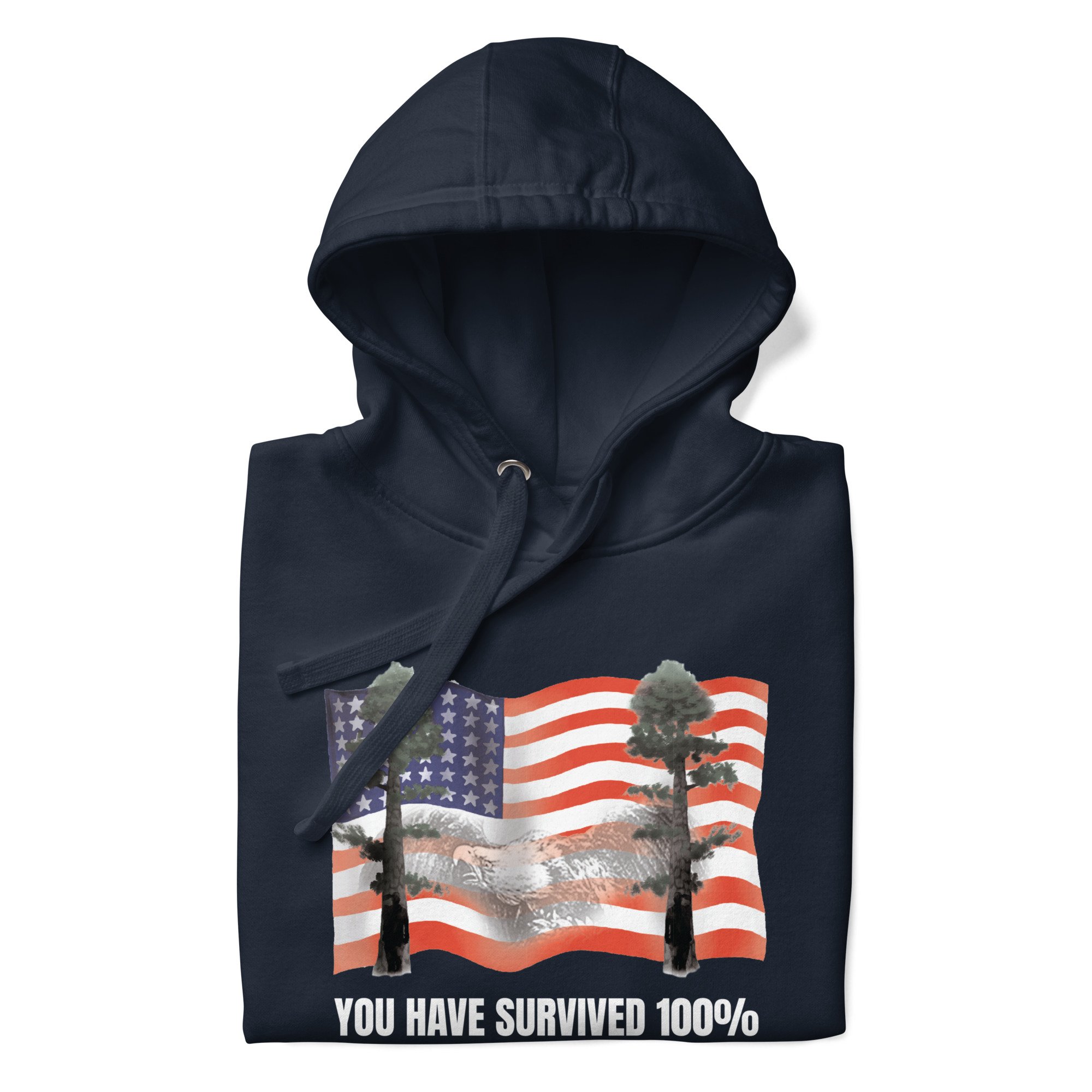 unisex-premium-pullover-hoodie-navy-blazer-front-6a0b36825a45d.jpg