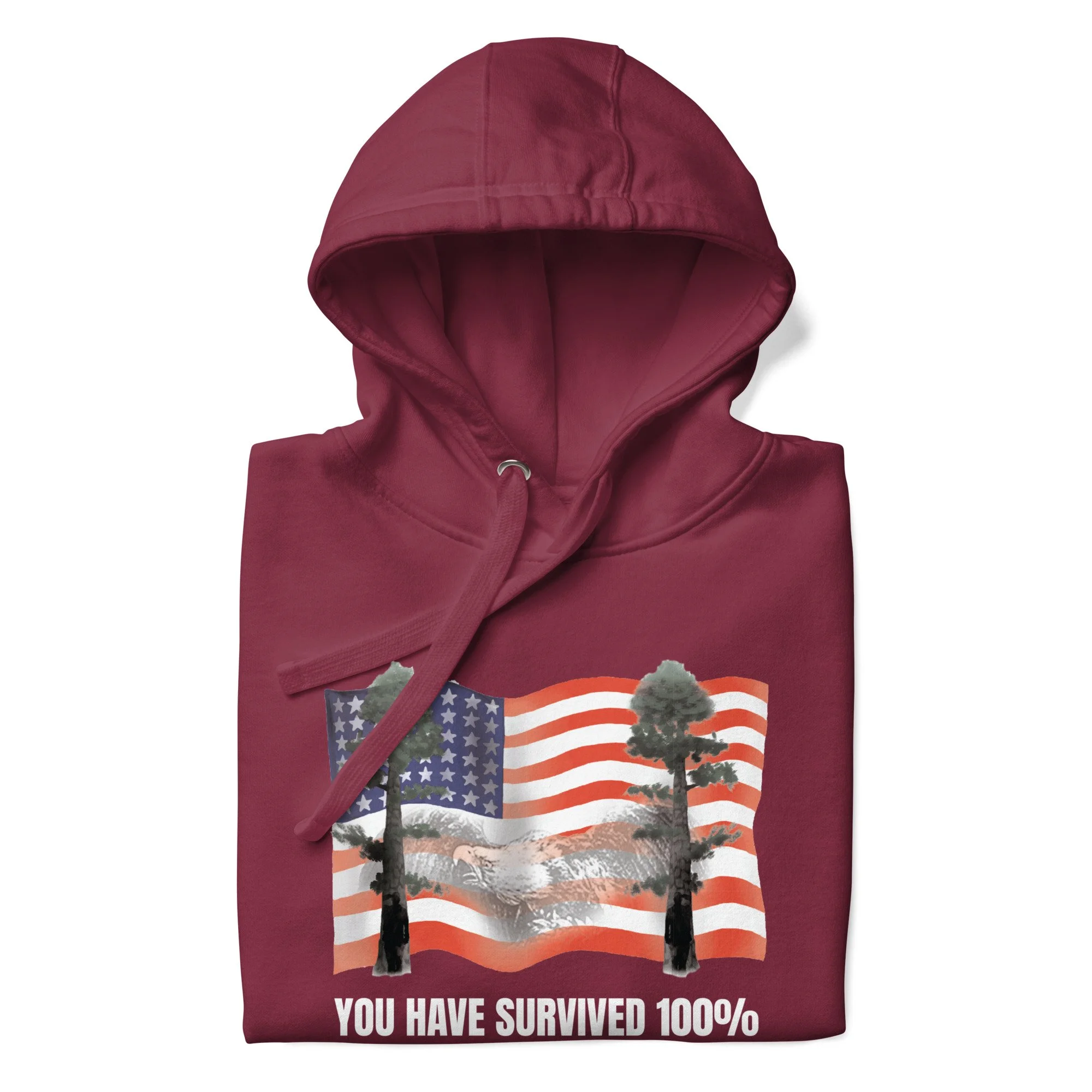 unisex-premium-pullover-hoodie-maroon-front-6a0b36825baad.jpg