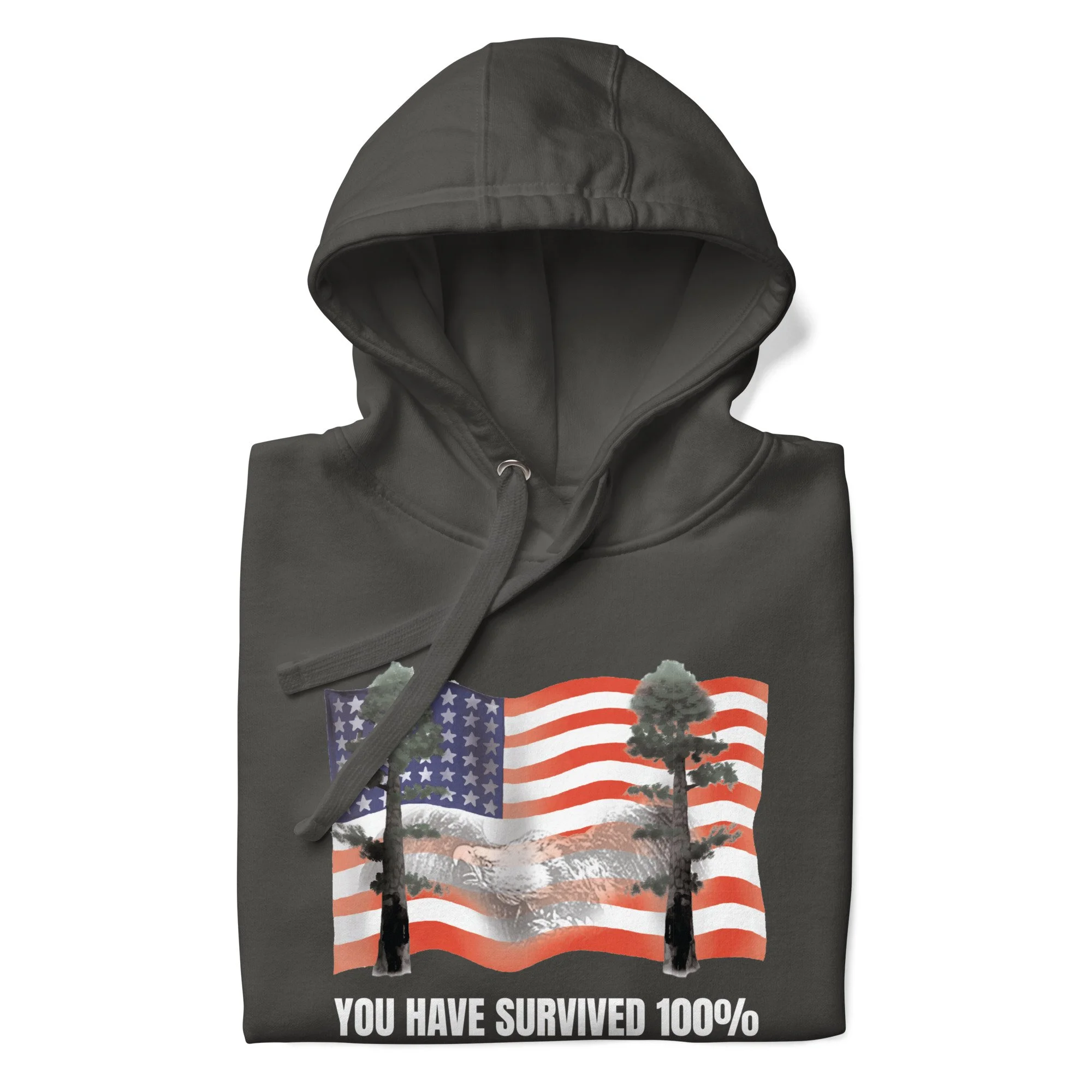 unisex-premium-pullover-hoodie-vintage-black-front-6a0b36826356b.jpg