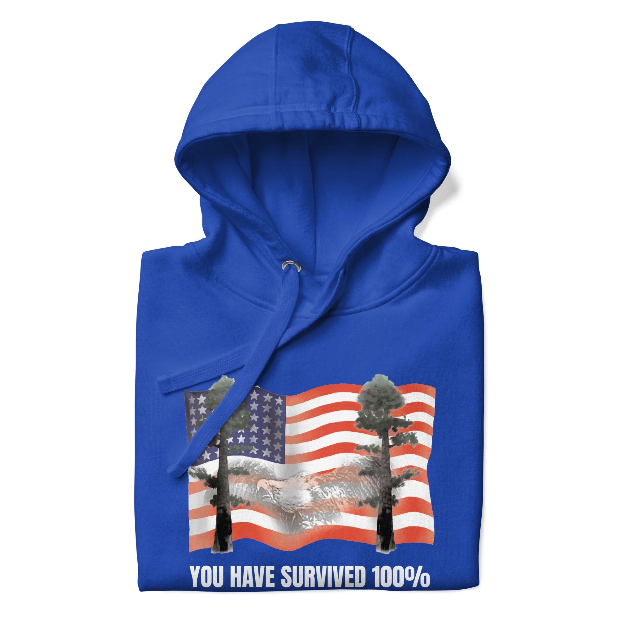 unisex-premium-pullover-hoodie-team-royal-front-6a0b36826721f.jpg