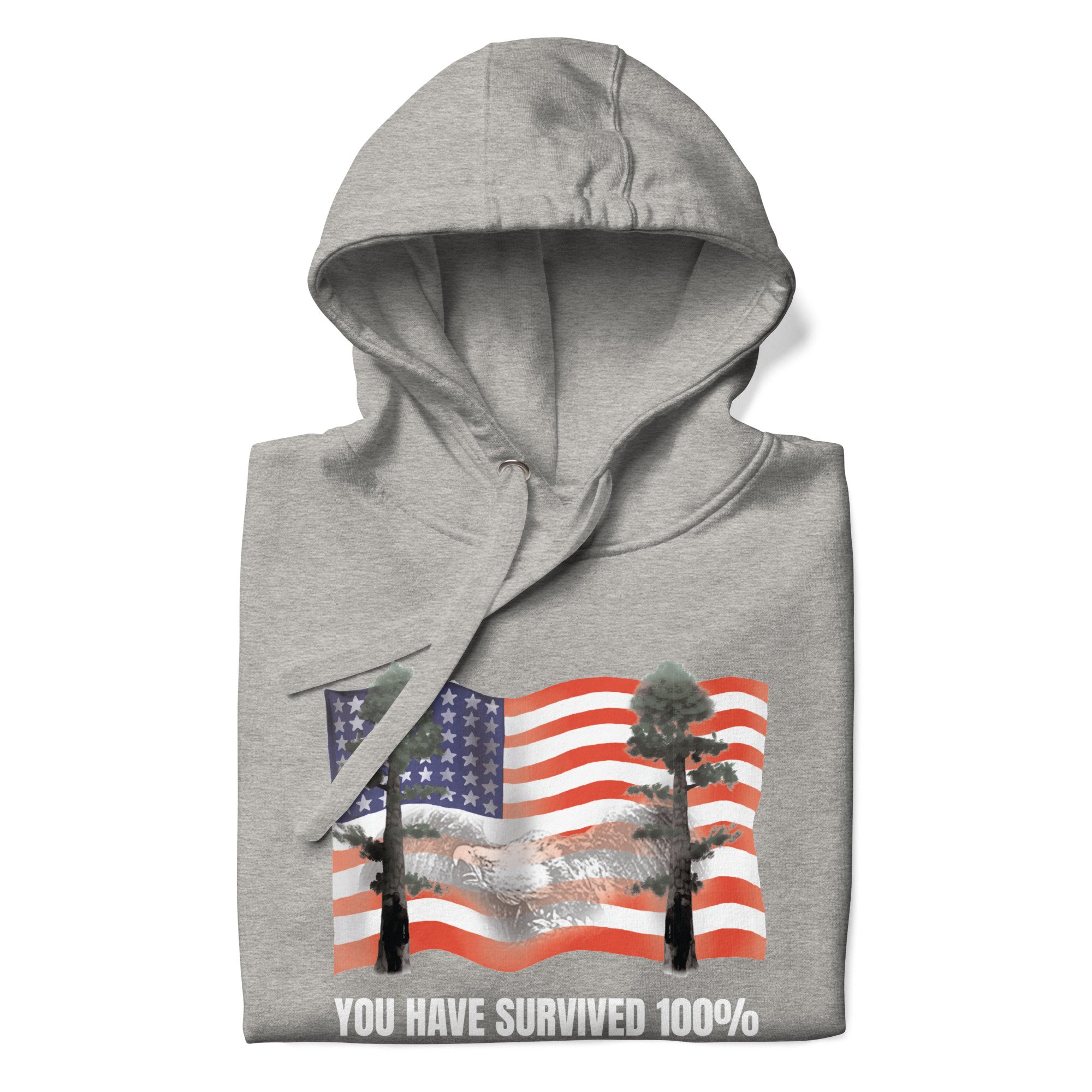 unisex-premium-pullover-hoodie-carbon-grey-front-6a0b368271b89.jpg