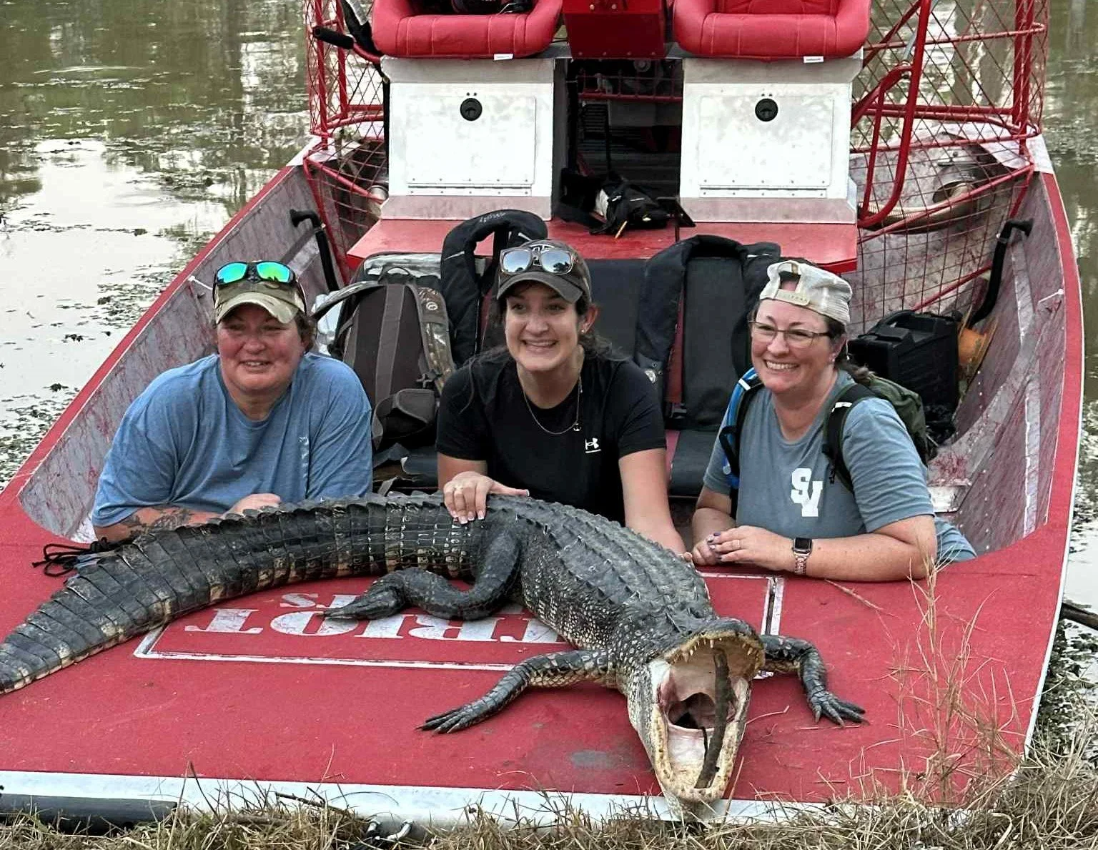 Gator Hunt 2026