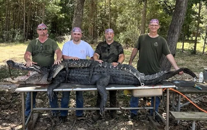 Gator Hunt (2026)