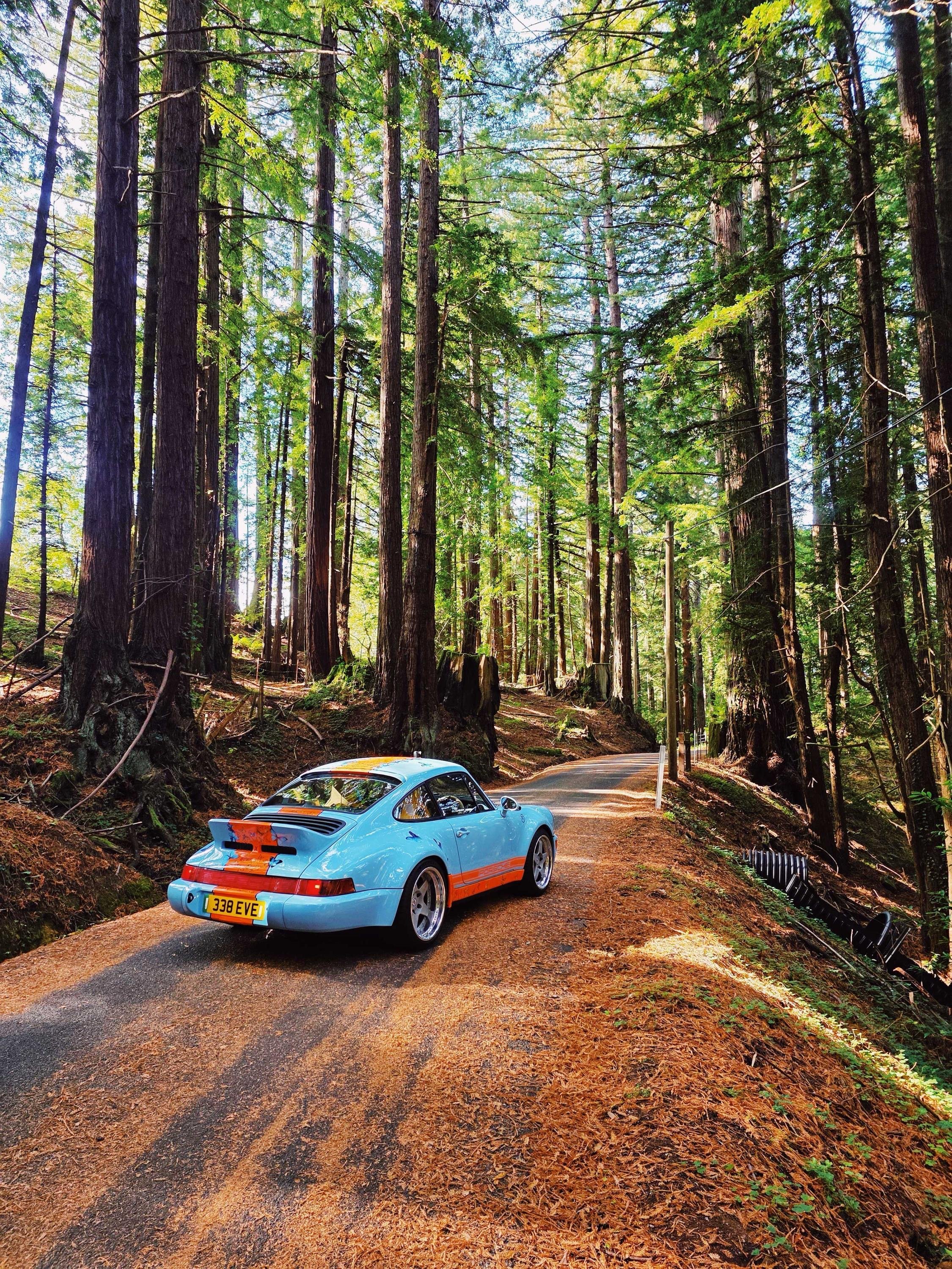 Photo 05-11-2025, 16 38 28 (4) (1).jpg