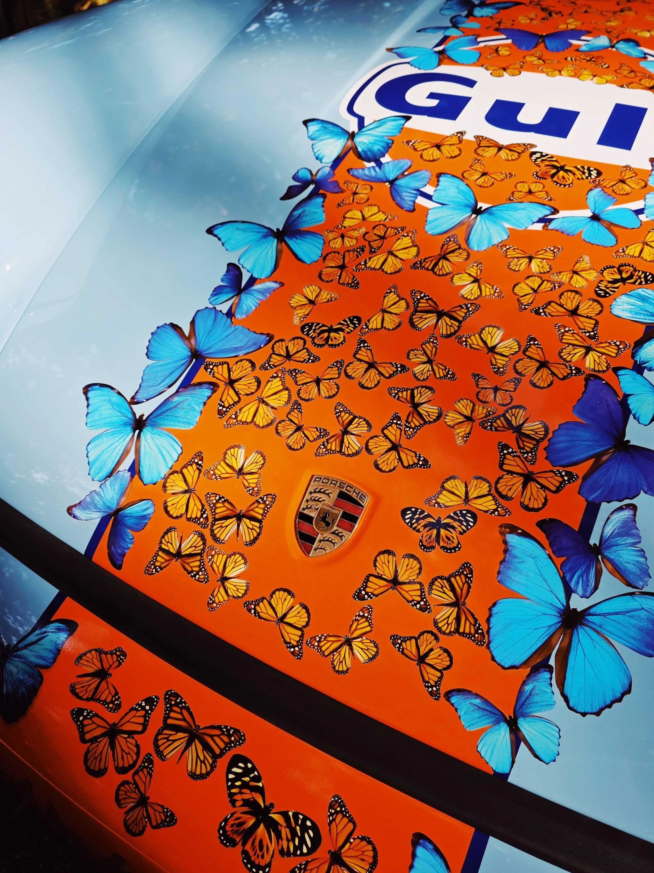 Photo 05-11-2025, 16 38 28 (5).jpg