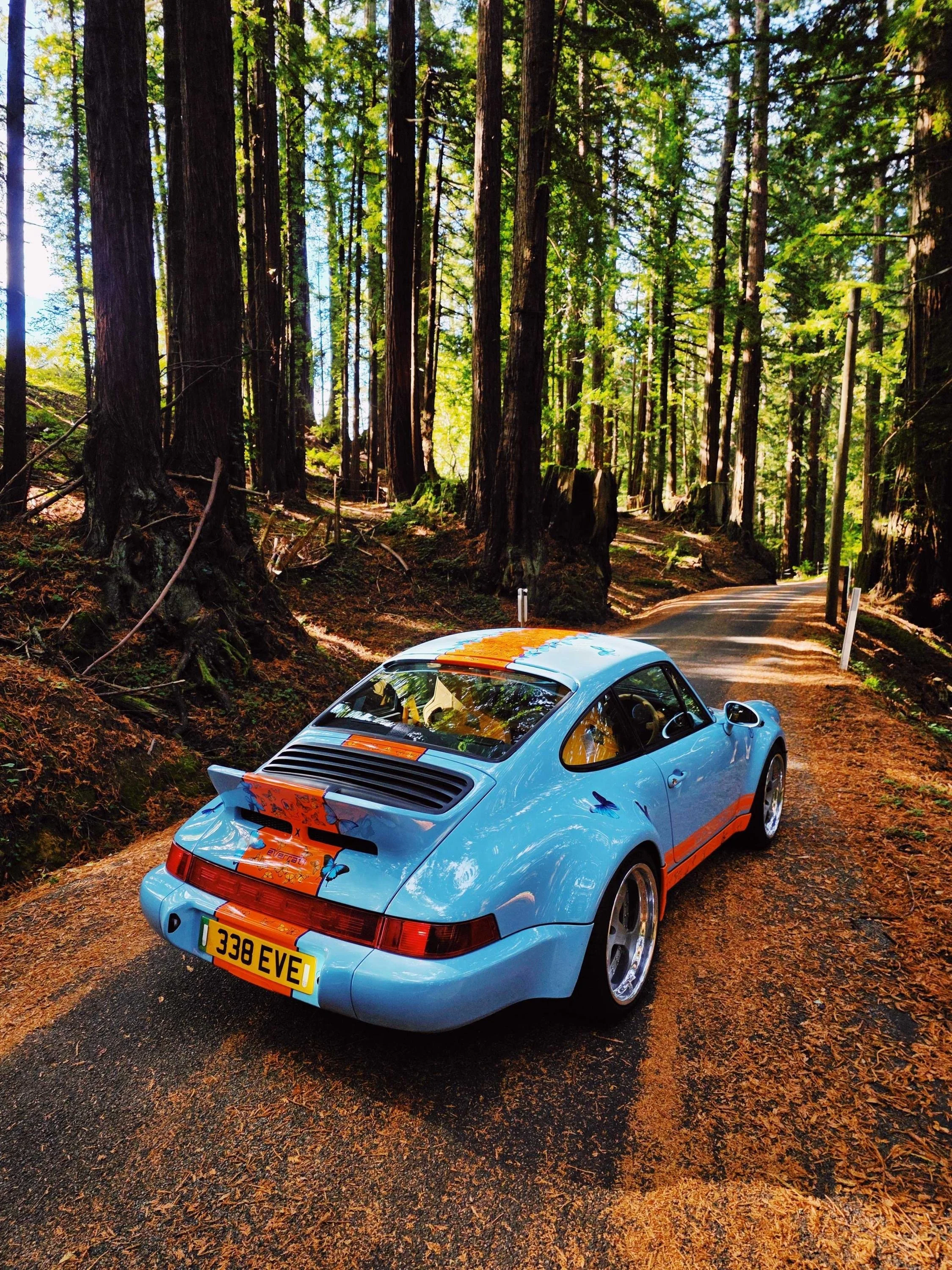 Photo 05-11-2025, 16 38 28 (1) (1).jpg