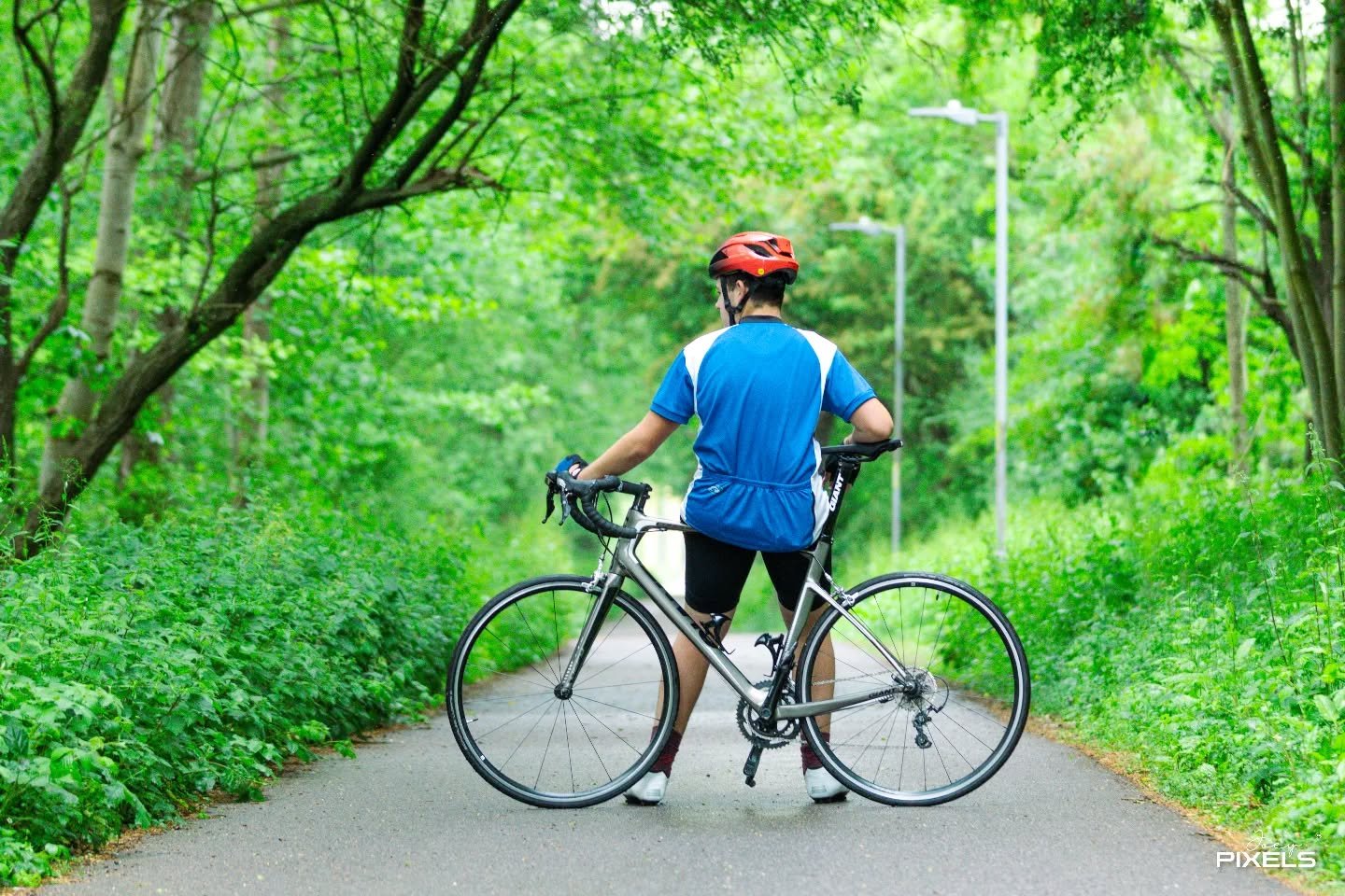 🌴 🚲