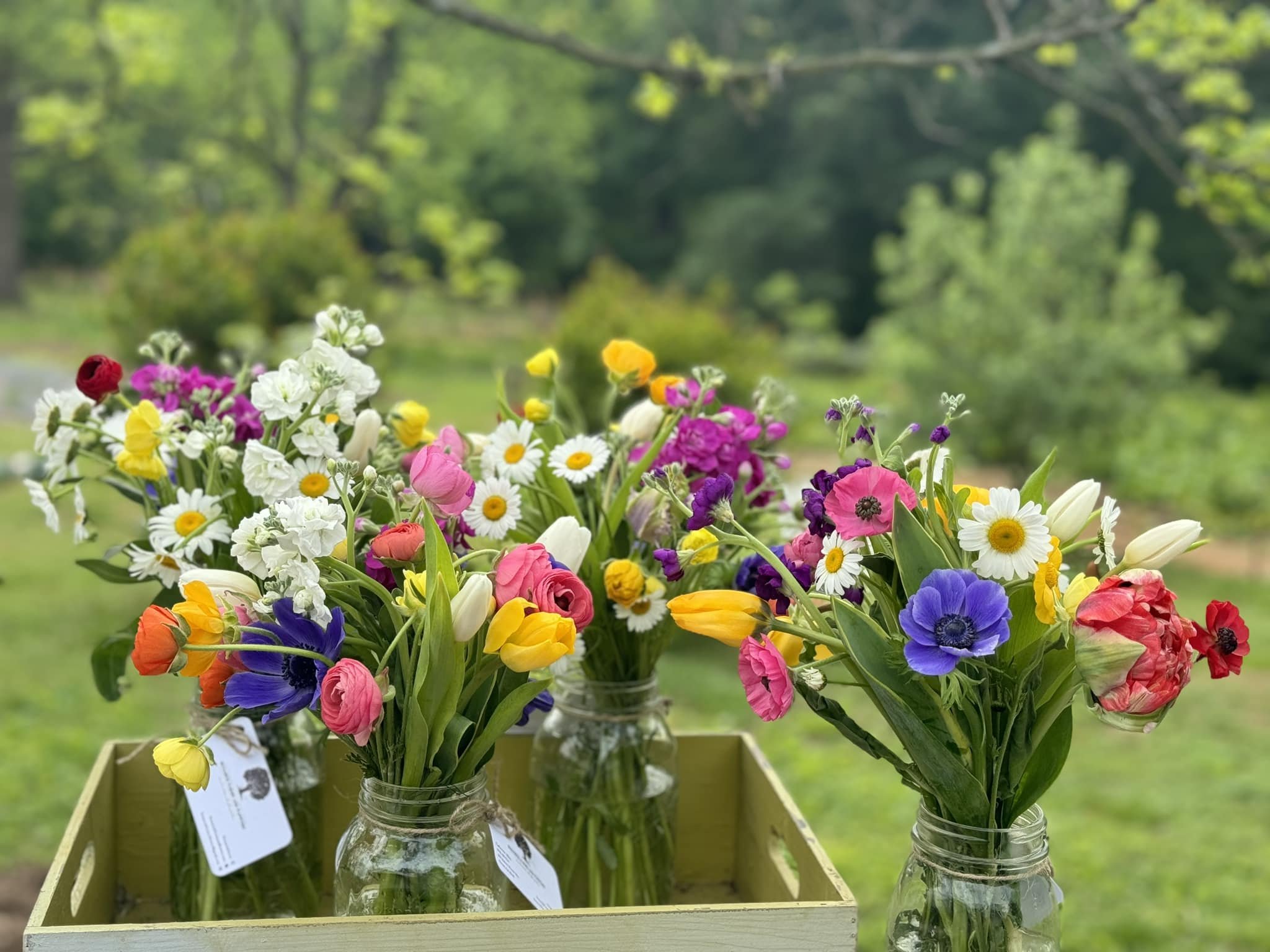mixed spring arrangements.jpg