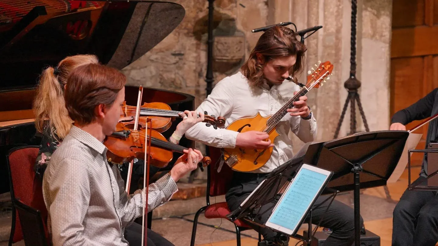 Mandolin Lessons London: Online &amp; Studio Sessions in Wimbledon