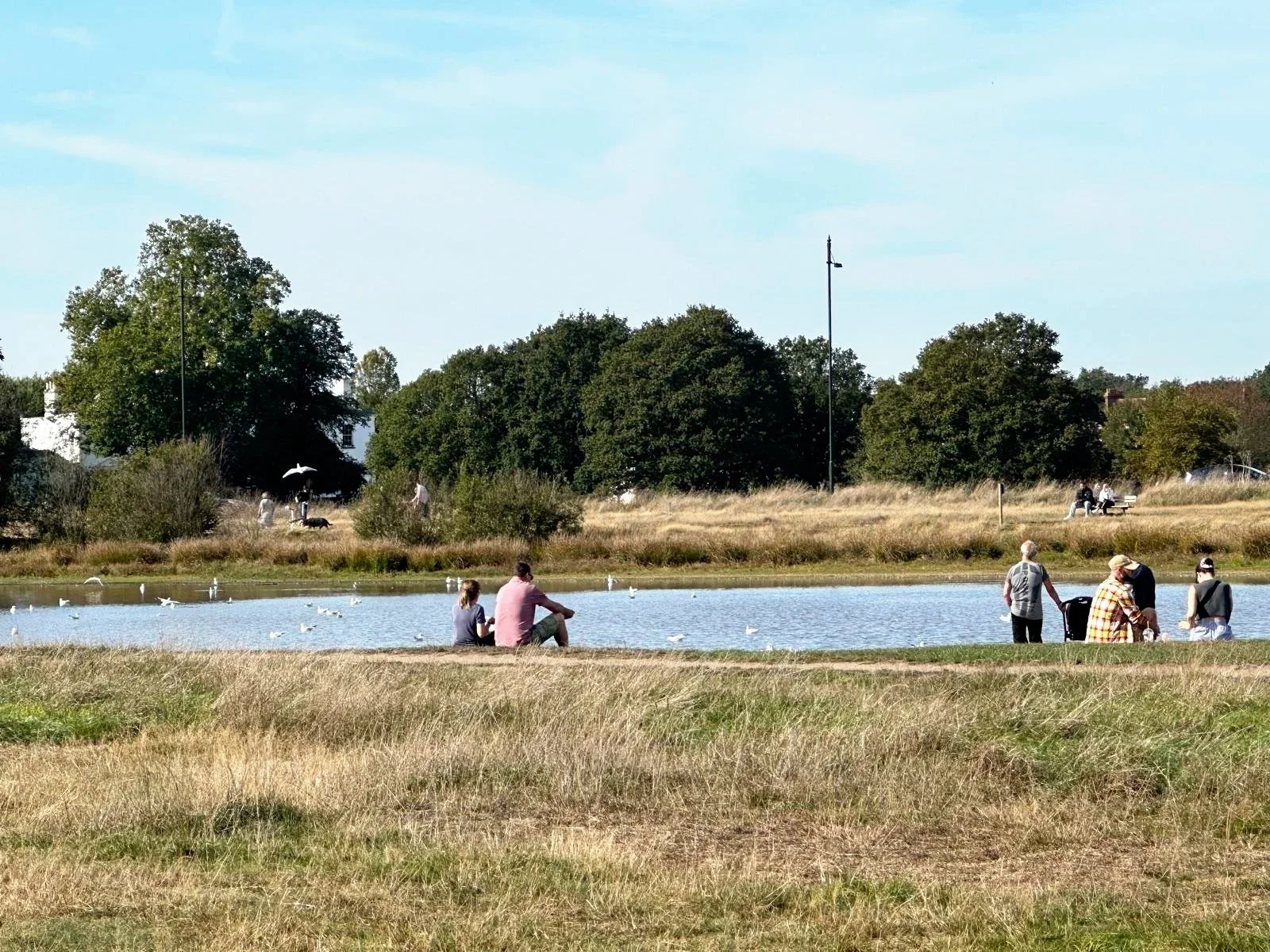 Rushmere Pond, Wimbledon