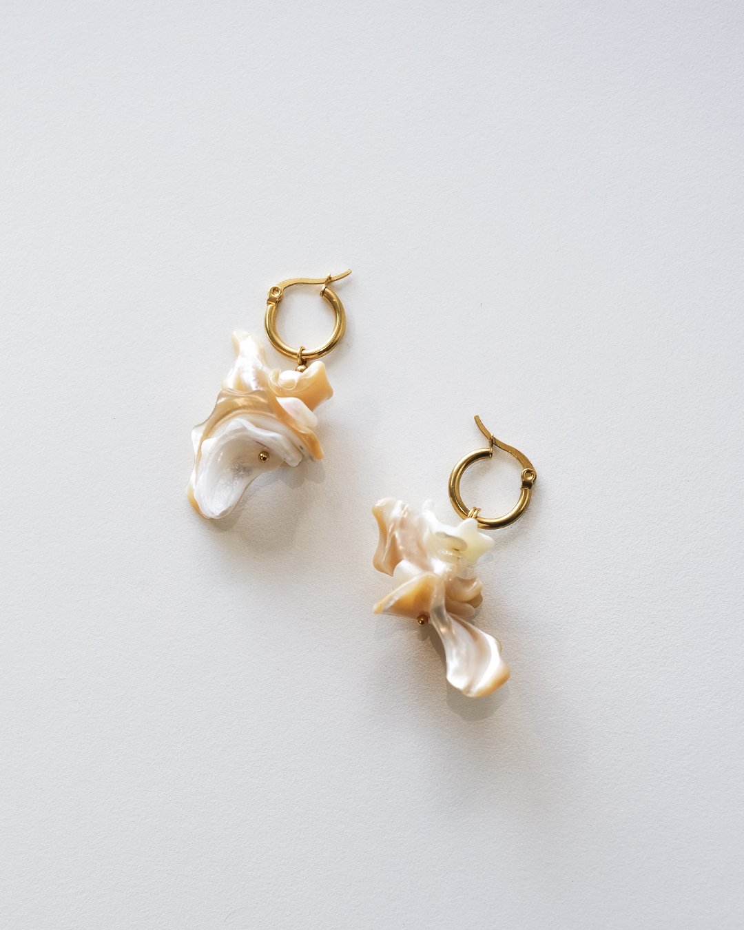 Seashell Earrings