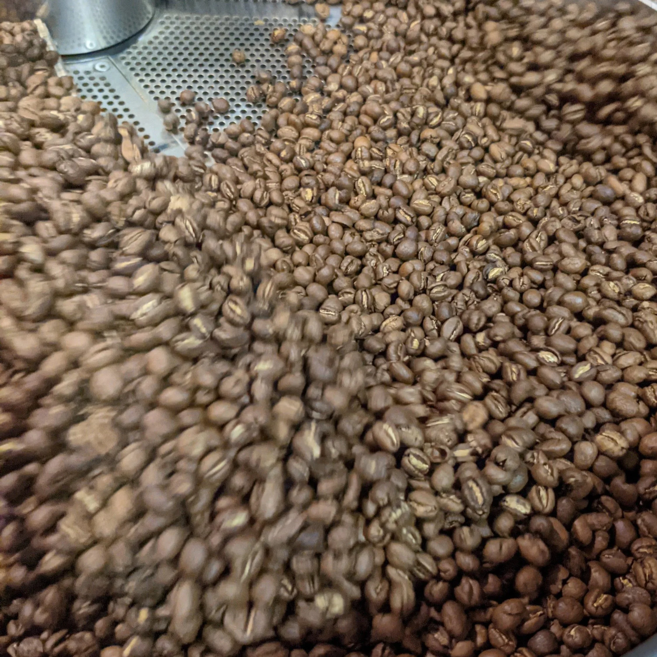 Close-up of coffee beans being roasted or processed on a metal surface.