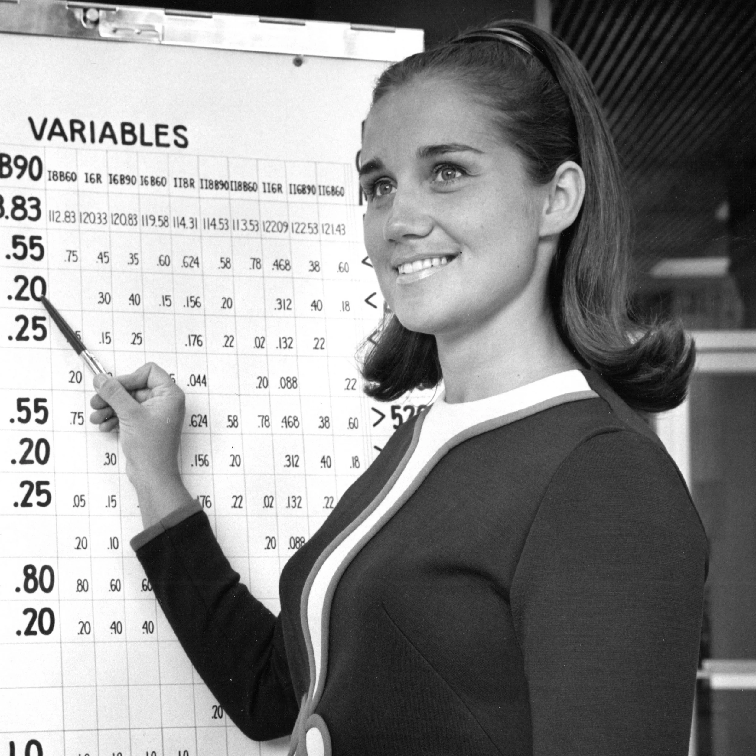 Daggie with Computer and Variables Chart