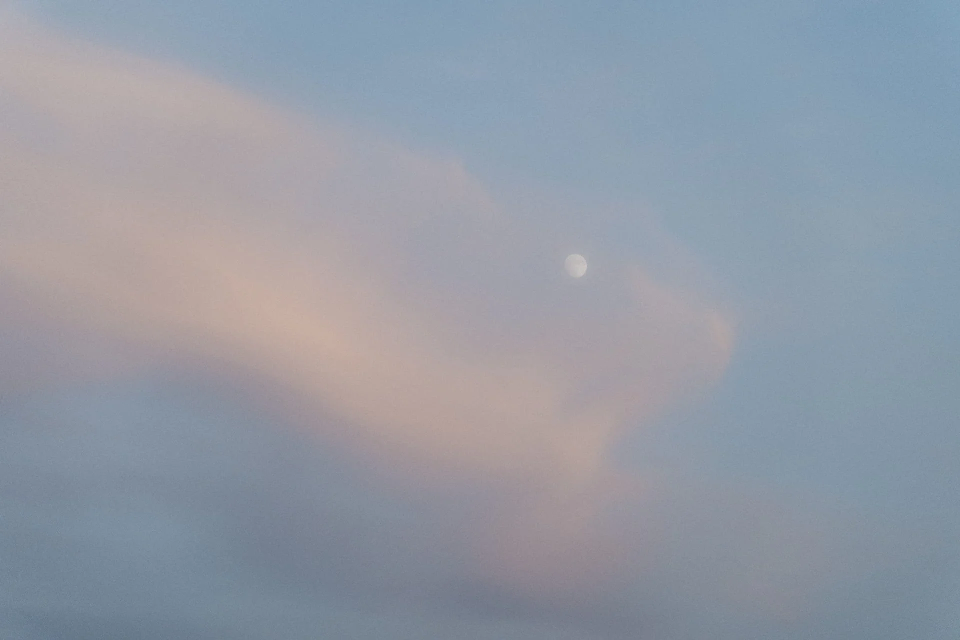 photographe_naturel_caen.jpg