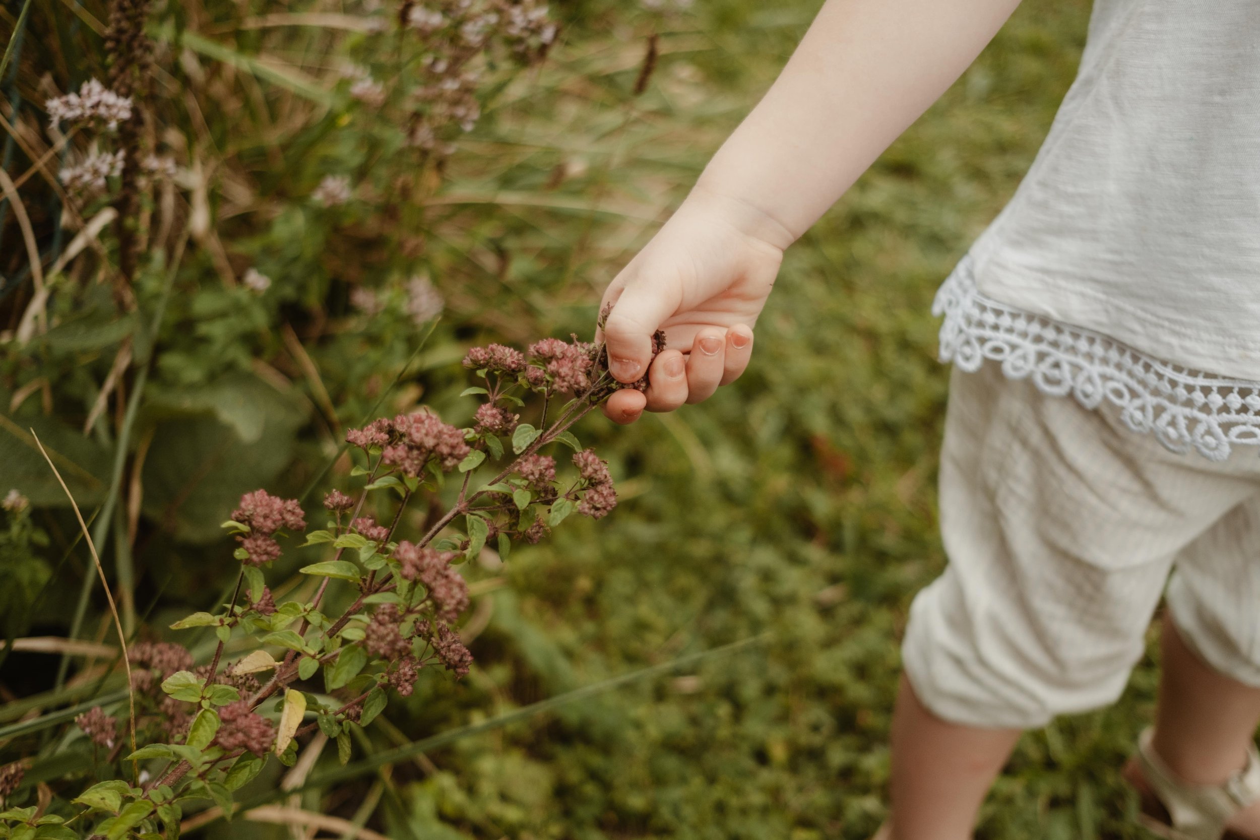 seance_famille_enfant_jardin.jpg