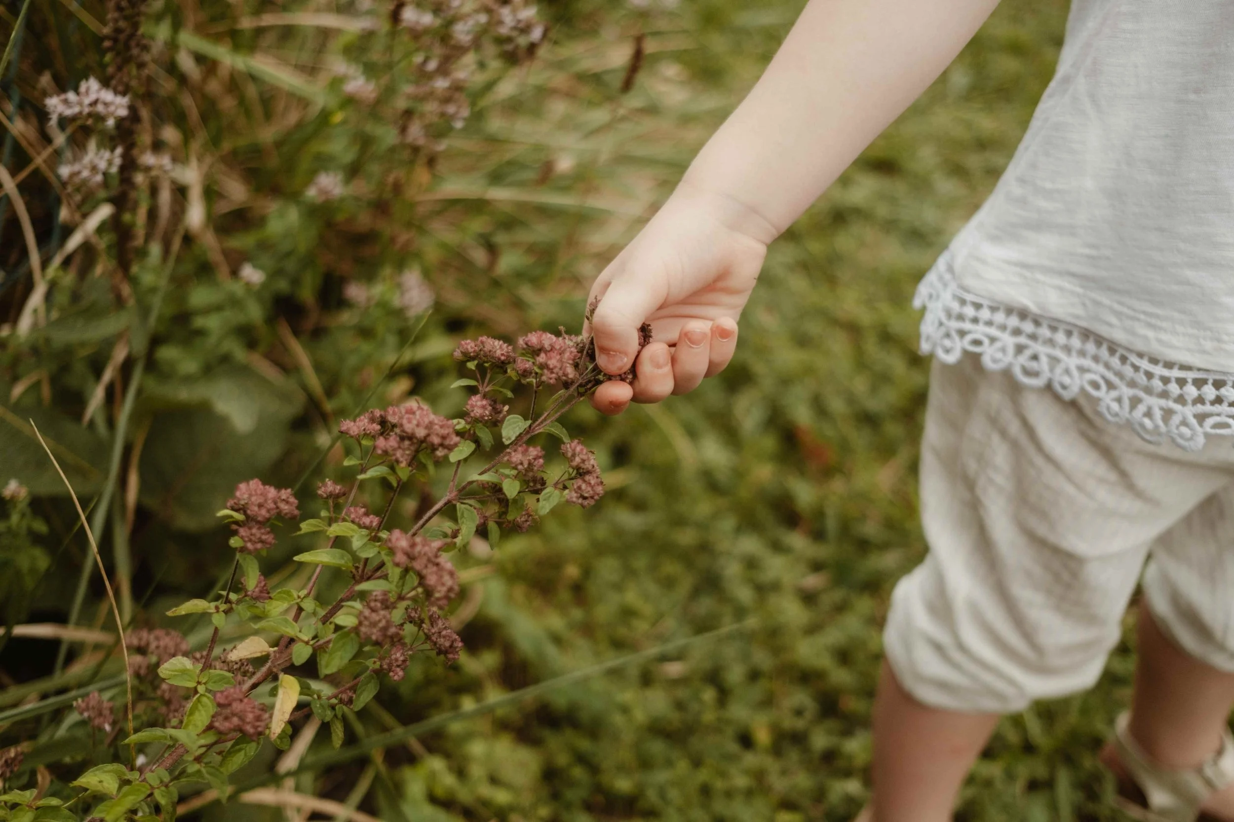 seance_famille_enfant_jardin.jpg