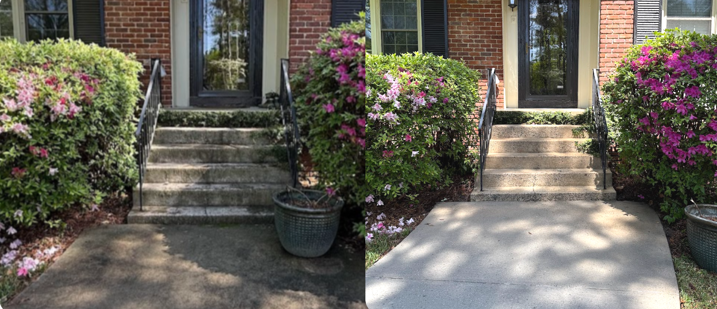 Screenshot 2026-02-19 12.19.32 PM.png