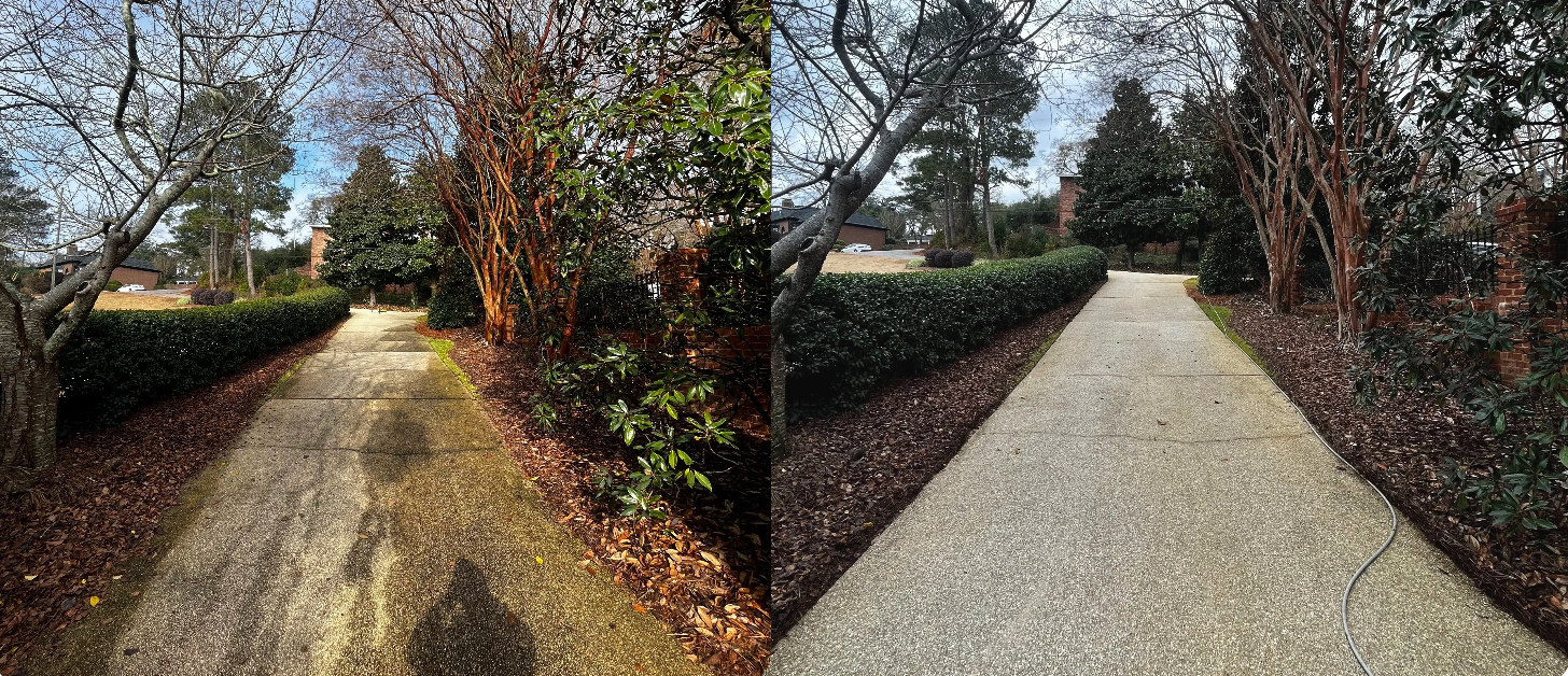 Screenshot 2026-02-19 12.19.39 PM.png