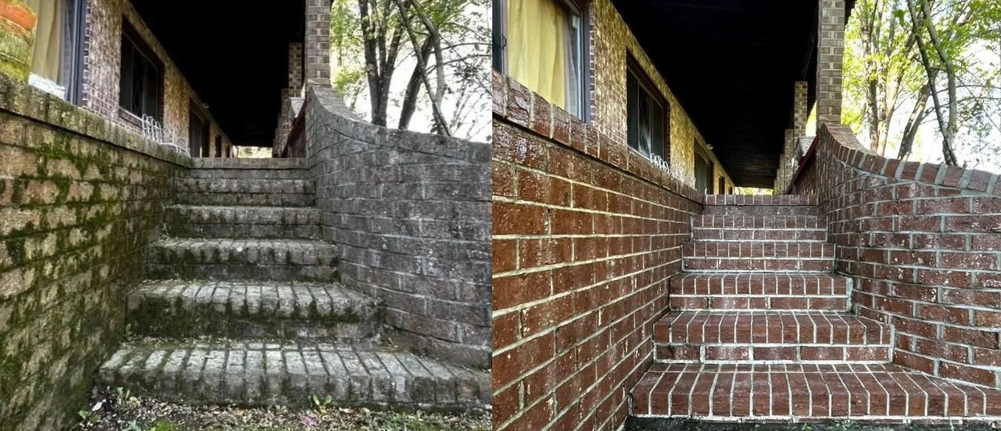 Screenshot 2026-02-19 12.19.25 PM.png