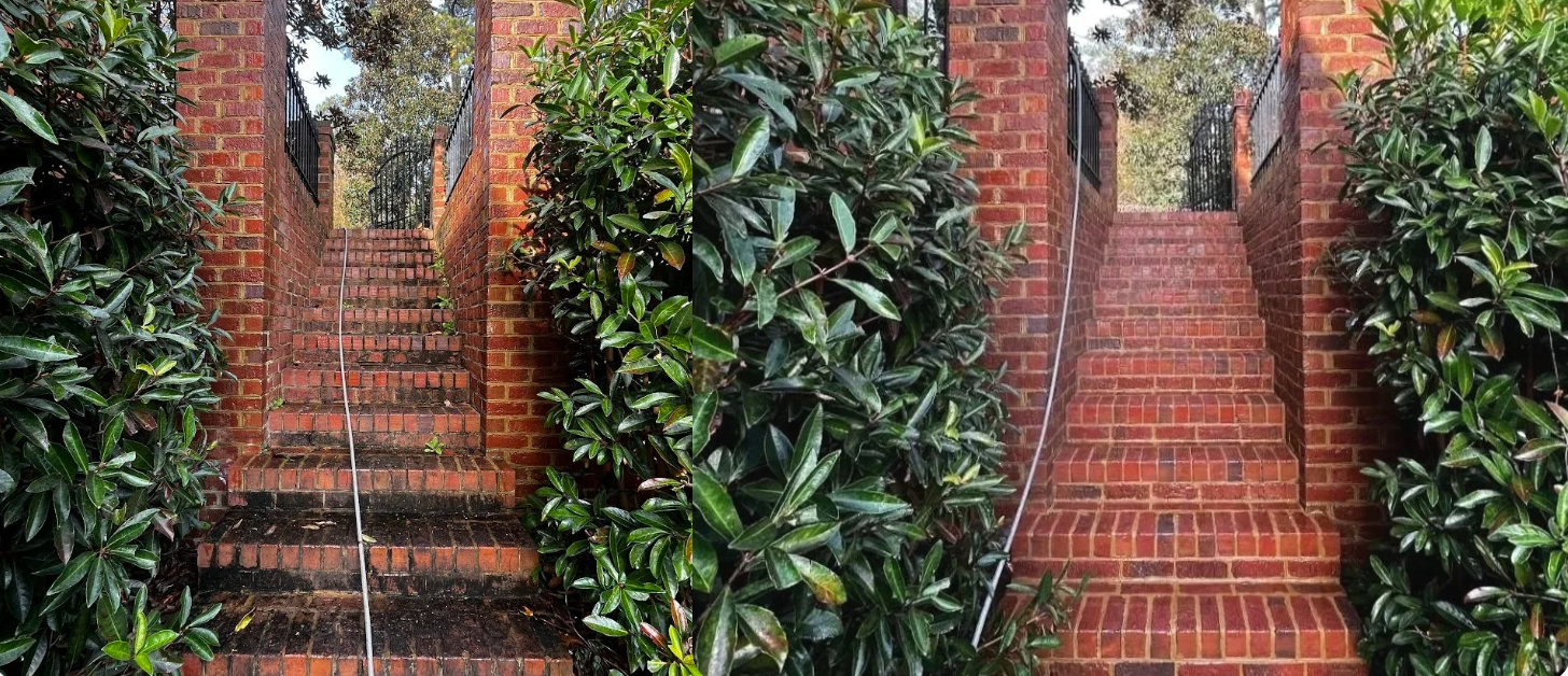 Screenshot 2026-02-19 12.19.20 PM.png