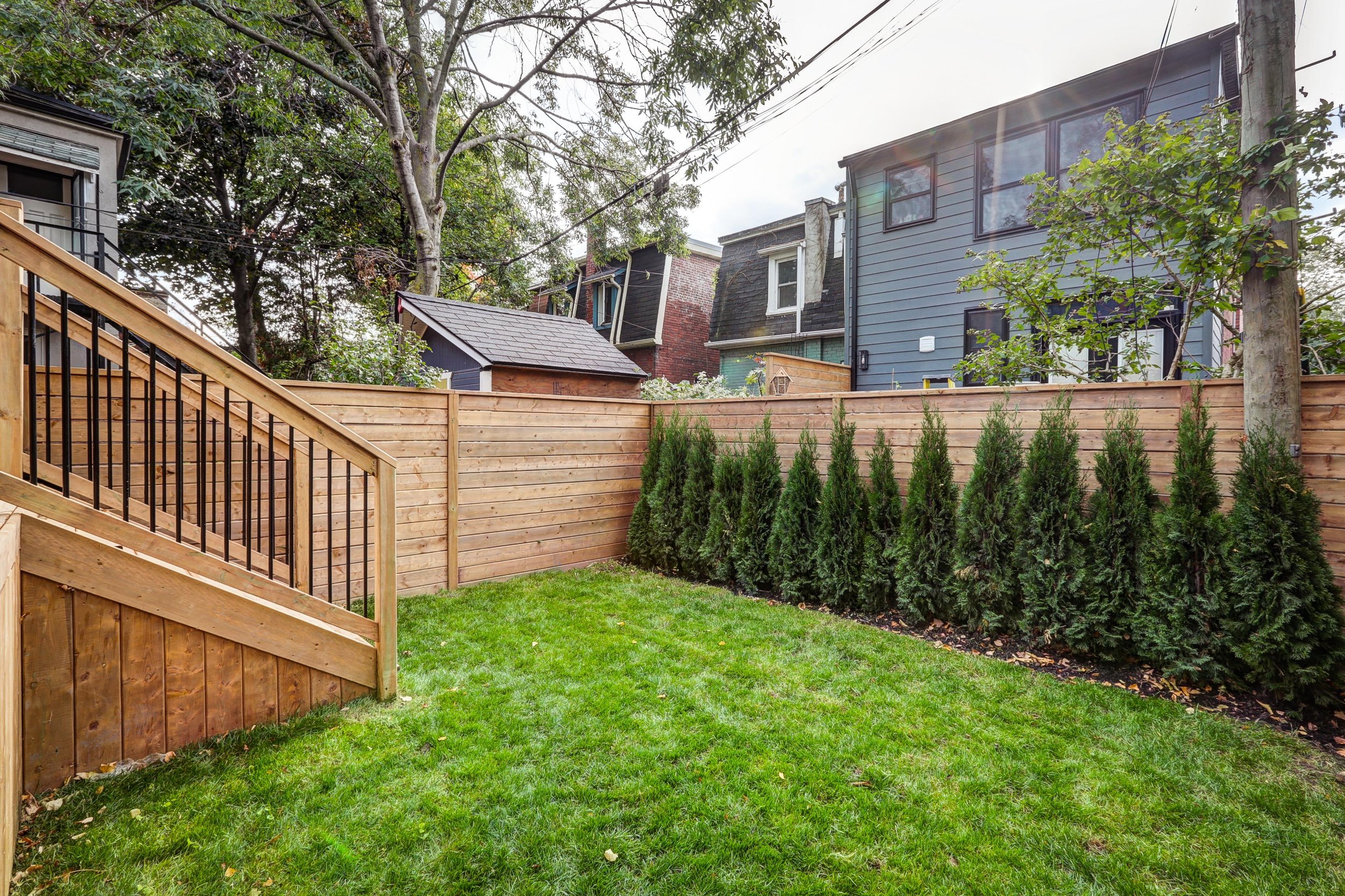 Backyard_6.jpg