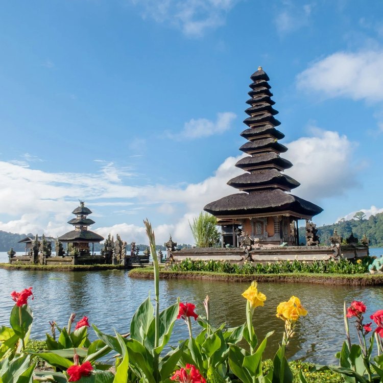 Reset Santé Bali