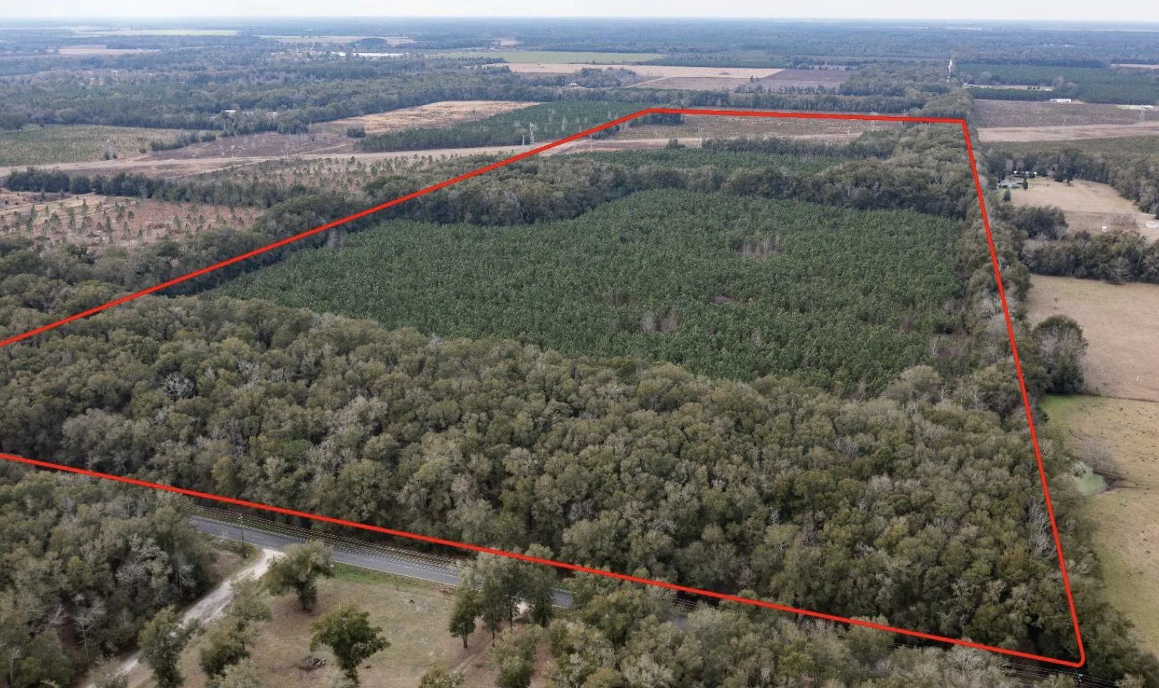 GO0aOXVWcAEKzKd (1).jpeg