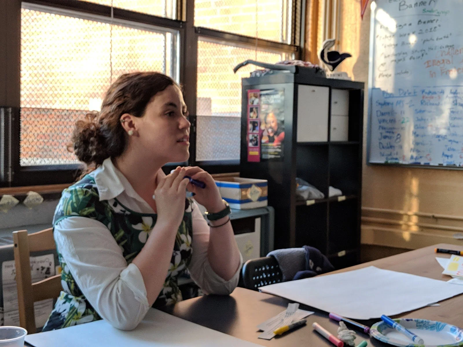 Fellows' Final Reflections: Erin