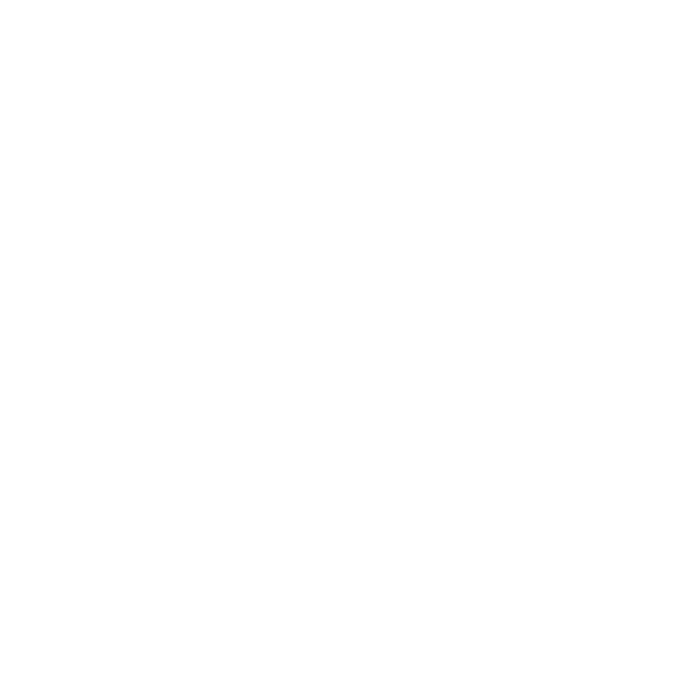 12 PLUS