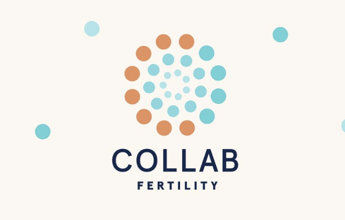 Screenshot 2025-02-25 at 12.04.03 PM.png