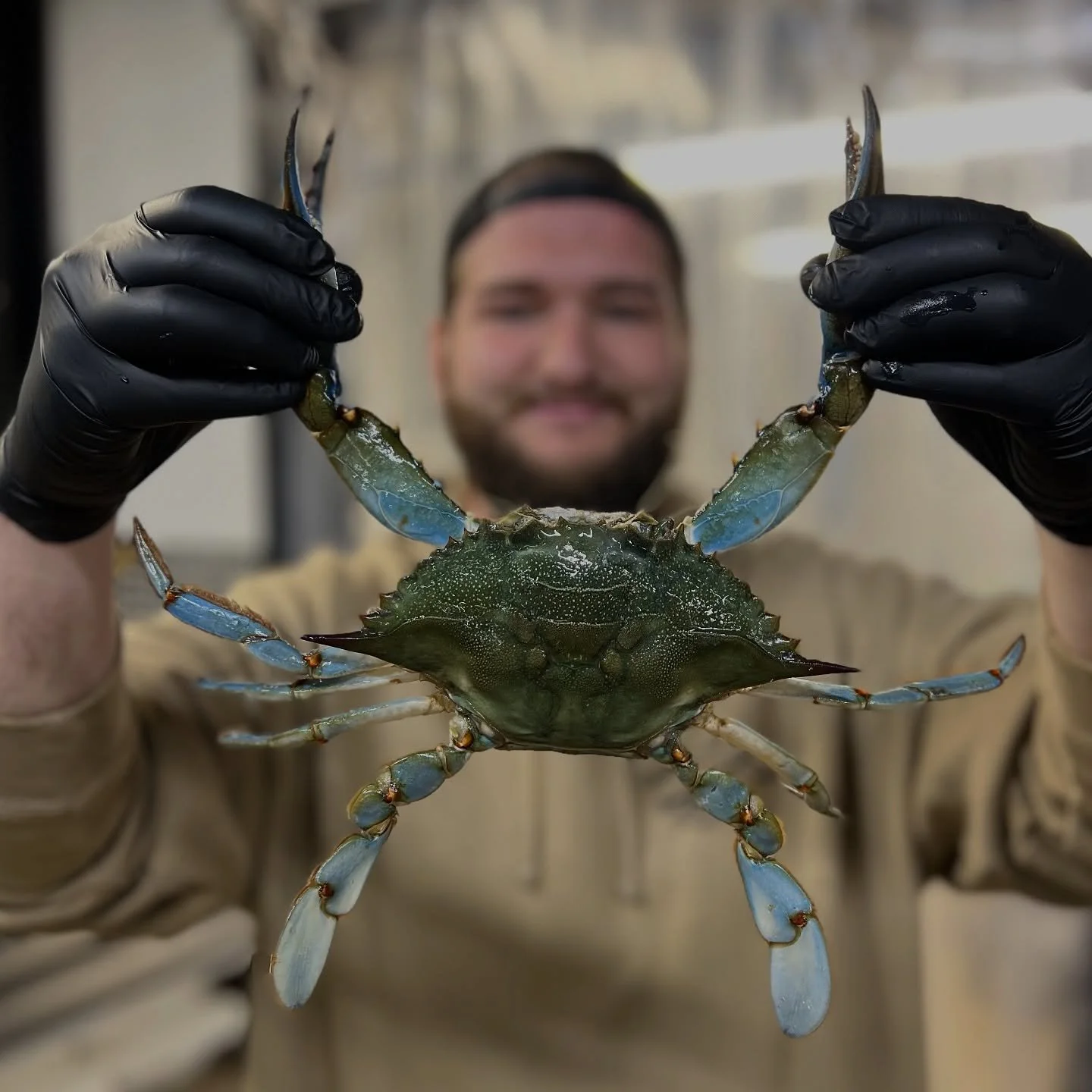 Jumbo Jimmie’s, Whole Fried Flounder, Wild Oysters‼️ 
#SEAFOODSATURDAY starting off STRONG and fueled by NC SEAFOOD! 
We’ll be roasting NC oysters with @flytrapbrewing today from 1-5, be sure to come check it out! 
#ncseafood #eatmorese