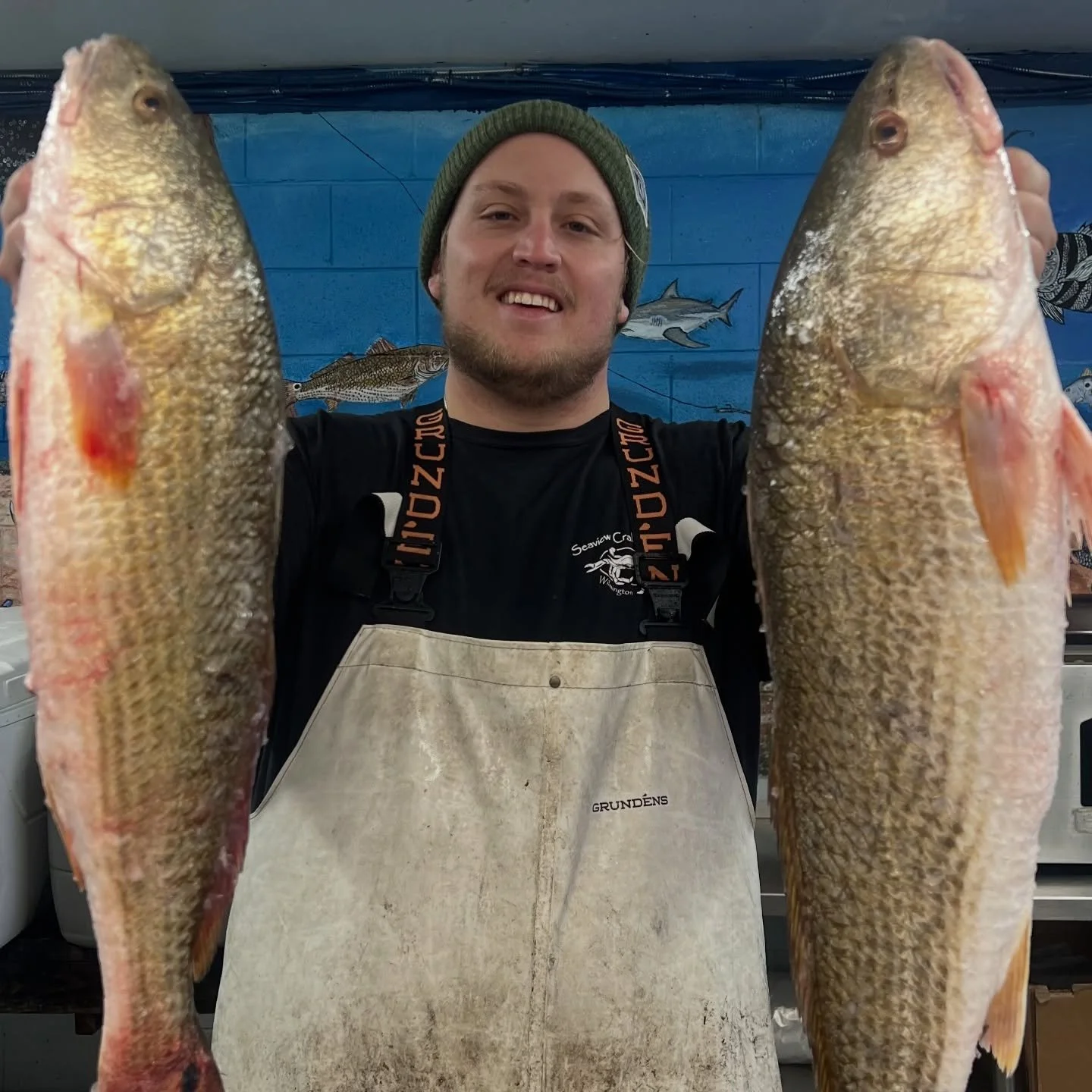 Happy rainy #SEAFOODSATURDAY

Perfect weather for a home cooked seafood feast and we&rsquo;re here to help make that happen! Drum, Speckled Trout, salty Oysters, 1/2 pound Shrimp Poboys and so much more! 

#ncseafood #weekend #nc #wilmingtonnc