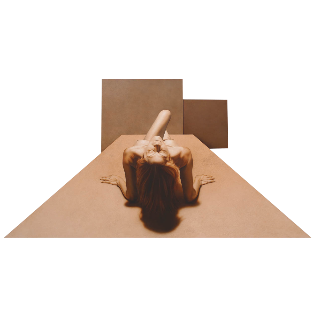 "Pose", 2009, acrílico sobre madera.