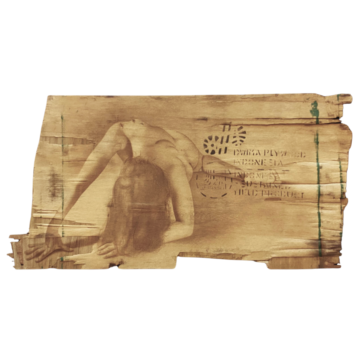 "Desperdicio", 1999, acrílico sobre madera.