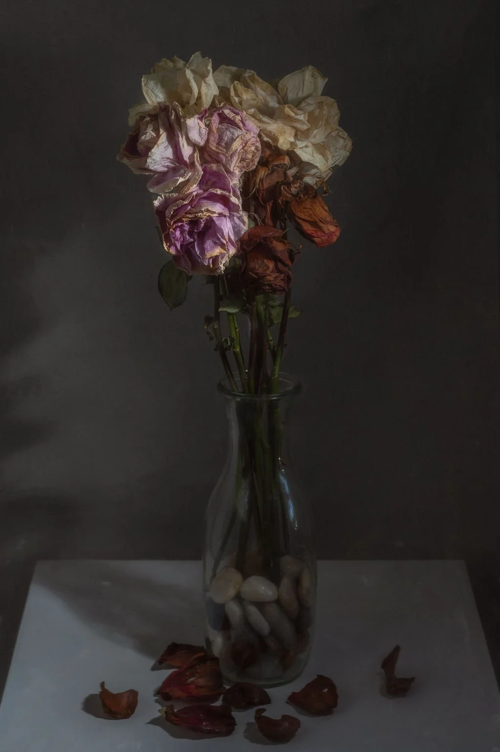 Withered pink and white roses in a glass vase on a white surface, scattered dried petals, and a dark background.