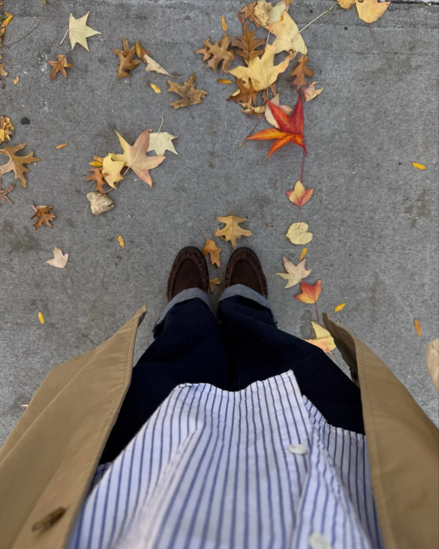 Slow and steady 🍁🌀